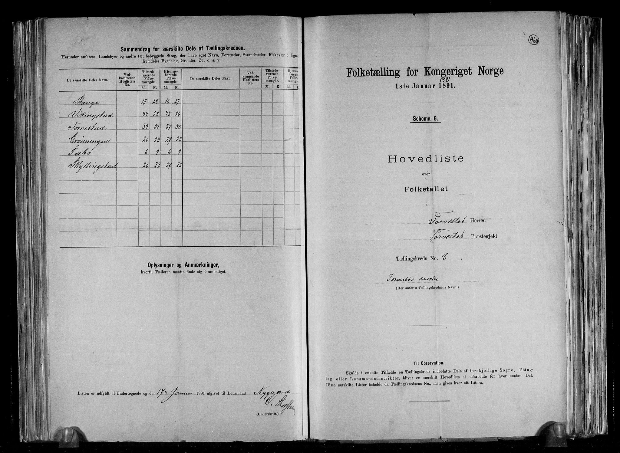 RA, 1891 census for 1152 Torvastad, 1891, p. 8