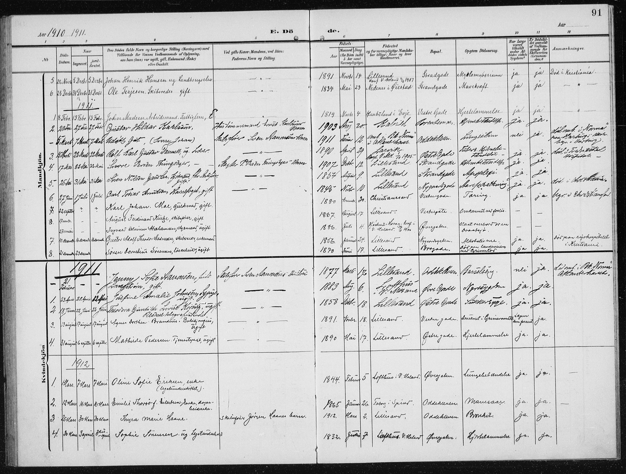 Vestre Moland sokneprestkontor, AV/SAK-1111-0046/F/Fb/Fba/L0002: Parish register (copy) no. B 2, 1904-1934, p. 91