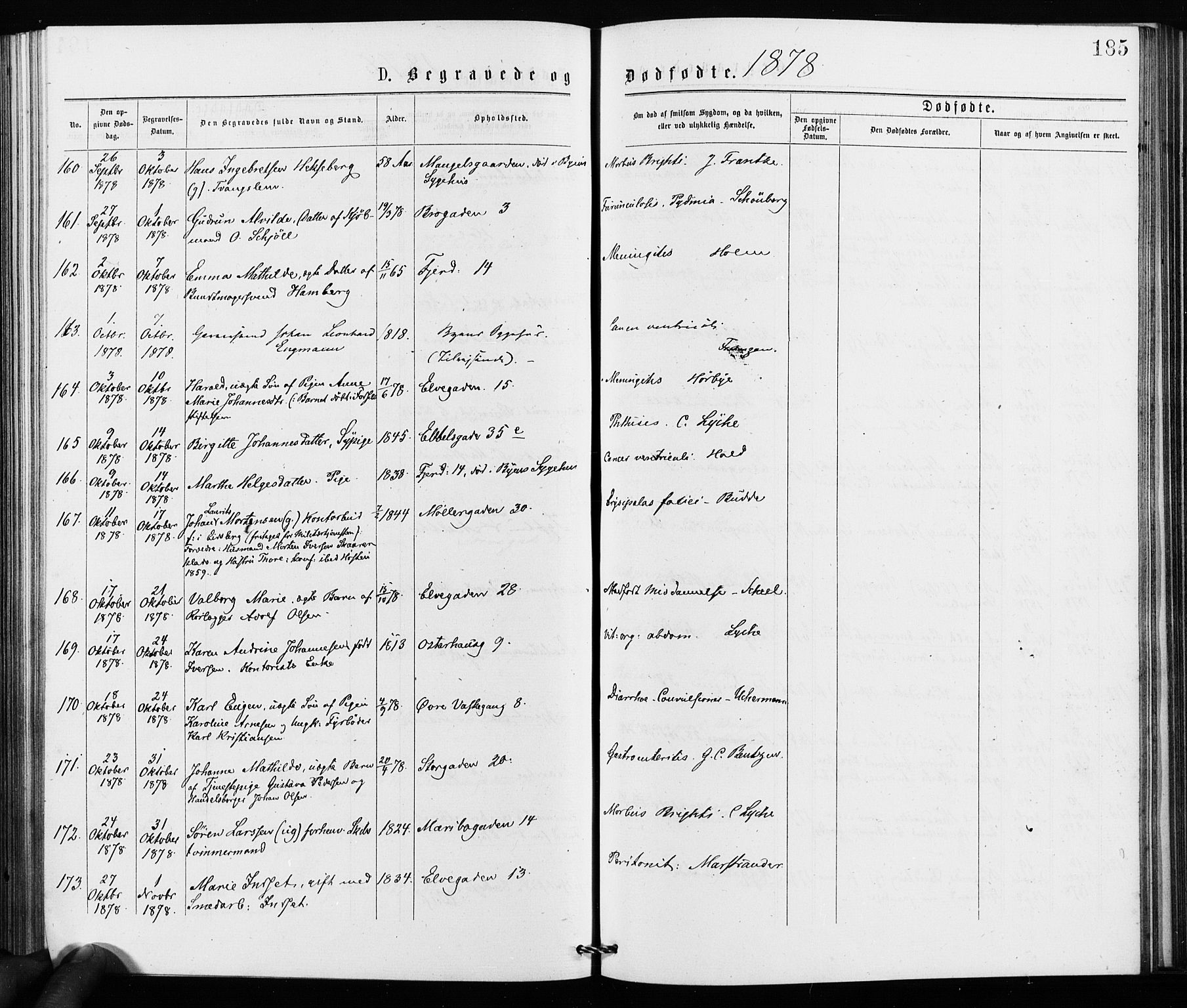 Jakob prestekontor Kirkebøker, SAO/A-10850/F/Fa/L0002: Parish register (official) no. 2, 1875-1879, p. 185