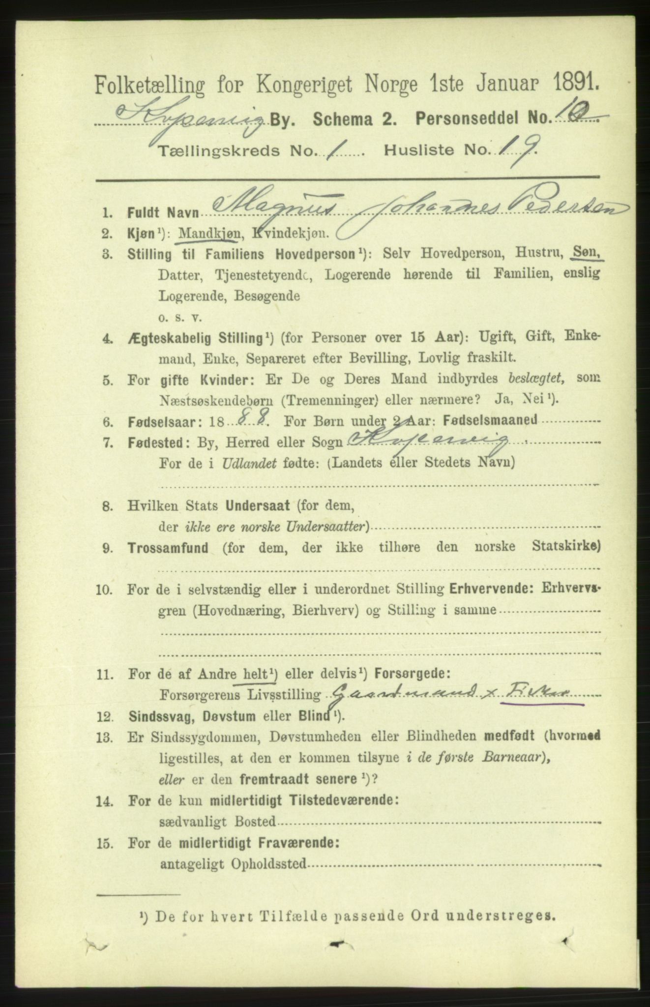 RA, 1891 census for 1105 Kopervik, 1891, p. 113