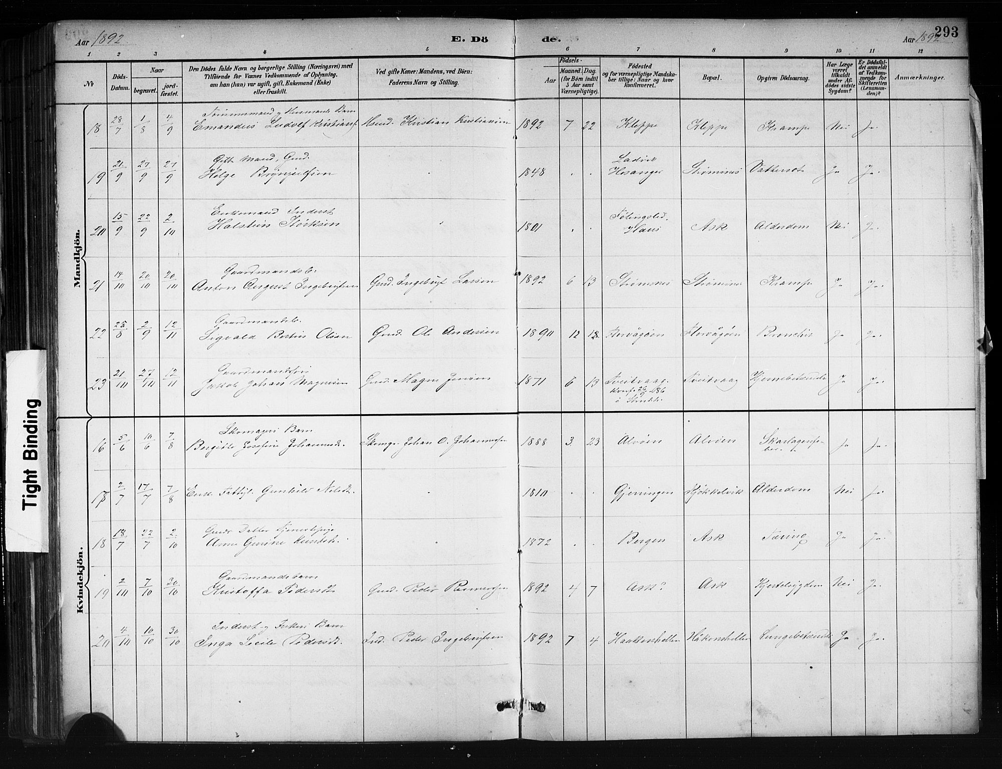 Askøy Sokneprestembete, SAB/A-74101/H/Ha/Hab/Haba/L0008: Parish register (copy) no. A 8, 1882-1893, p. 293