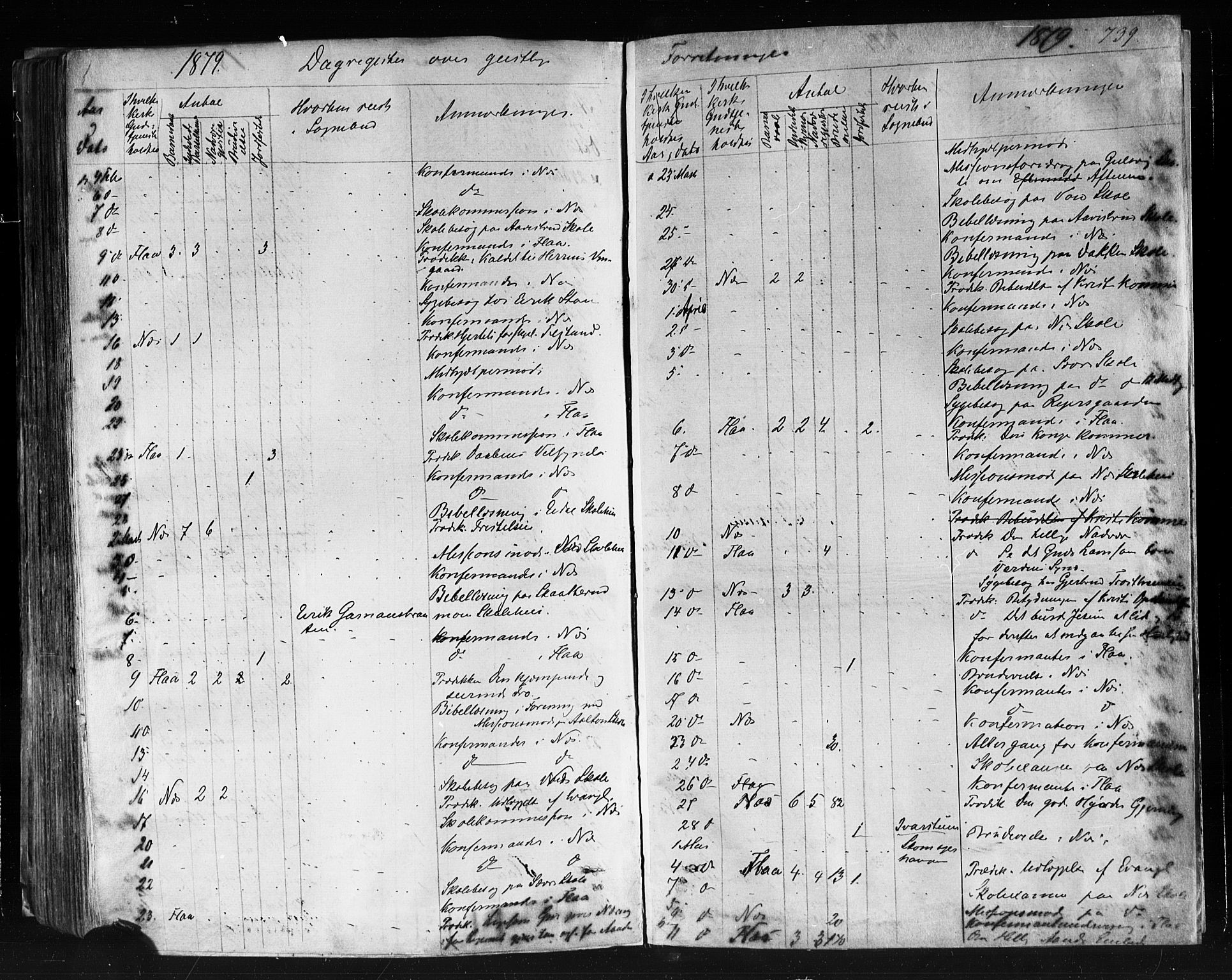 Nes kirkebøker, AV/SAKO-A-236/F/Fa/L0010: Parish register (official) no. 10, 1864-1880, p. 739