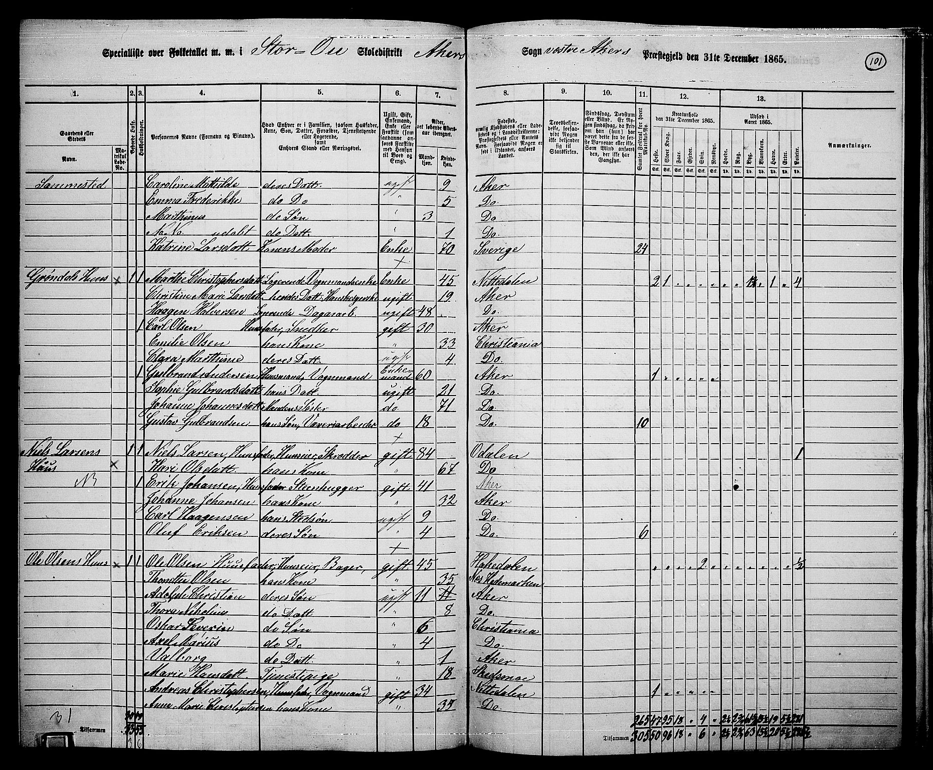 RA, 1865 census for Vestre Aker, 1865, p. 269