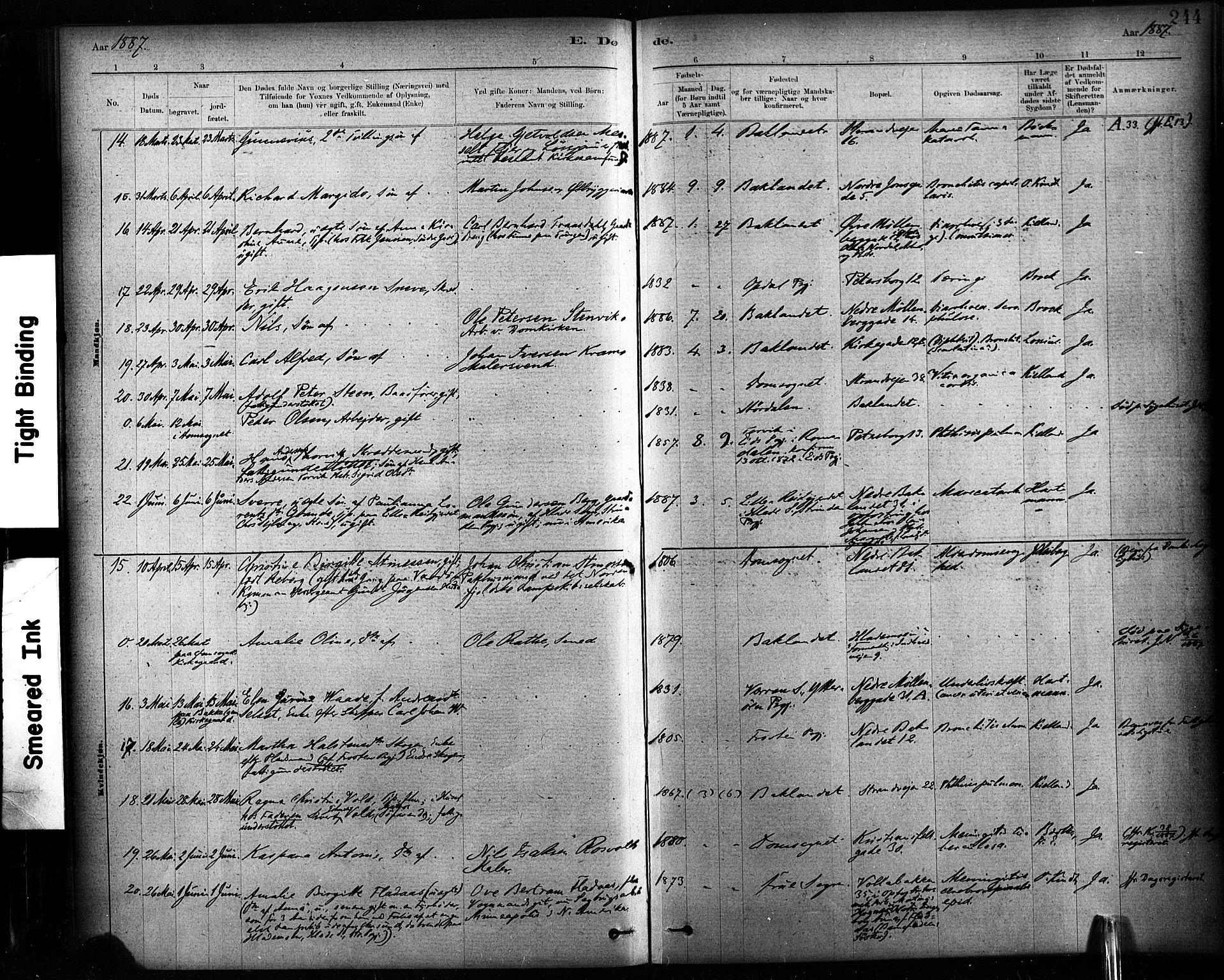 Ministerialprotokoller, klokkerbøker og fødselsregistre - Sør-Trøndelag, AV/SAT-A-1456/604/L0189: Parish register (official) no. 604A10, 1878-1892, p. 244