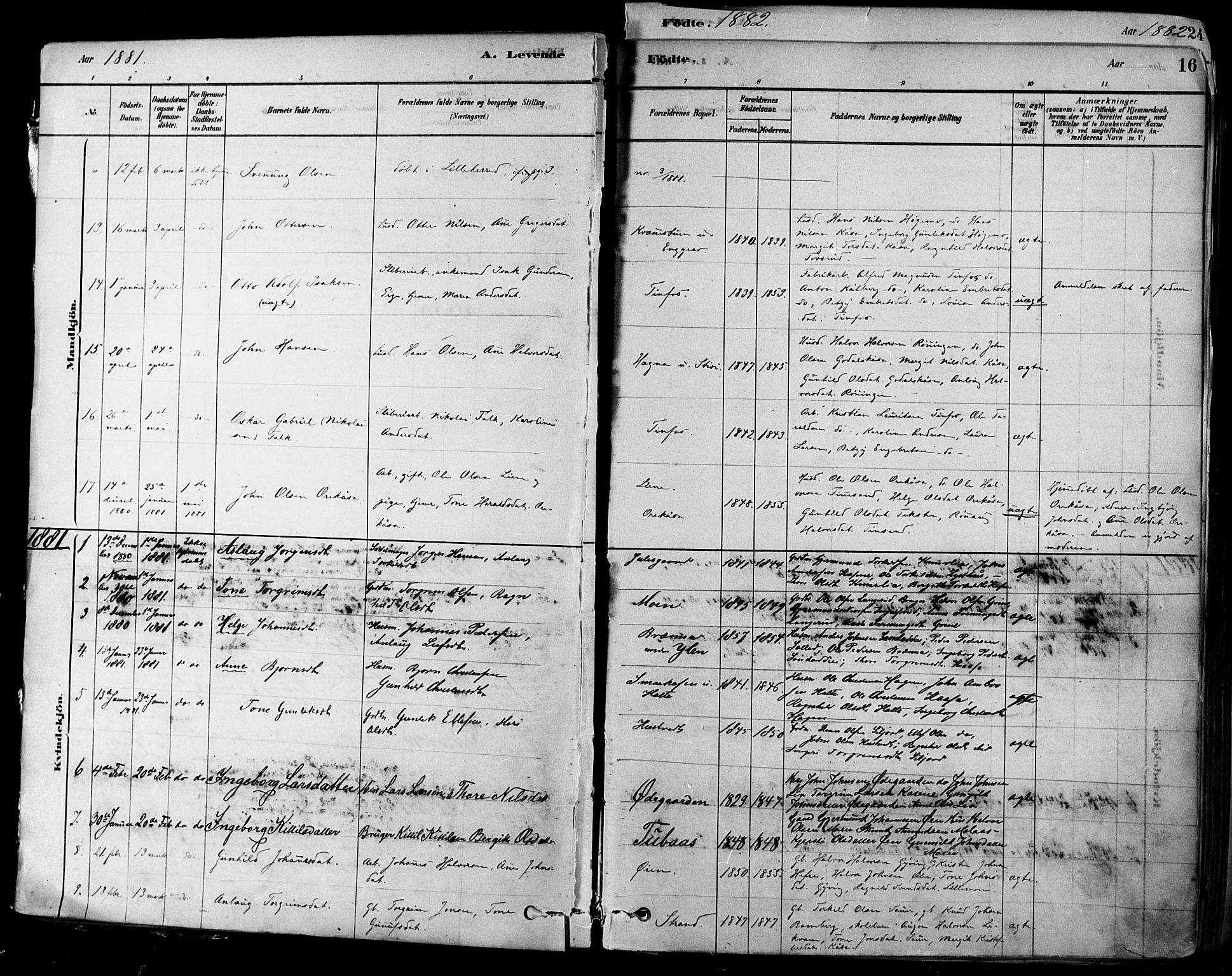 Heddal kirkebøker, SAKO/A-268/F/Fa/L0008: Parish register (official) no. I 8, 1878-1903, p. 16