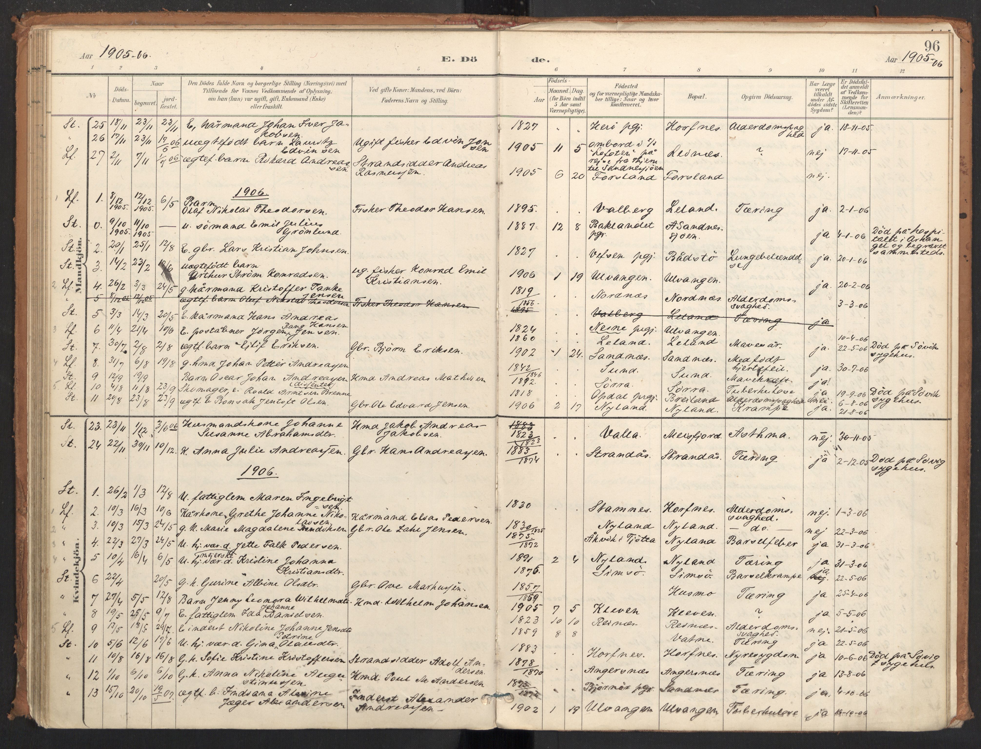 Ministerialprotokoller, klokkerbøker og fødselsregistre - Nordland, SAT/A-1459/831/L0472: Parish register (official) no. 831A03, 1897-1912, p. 96