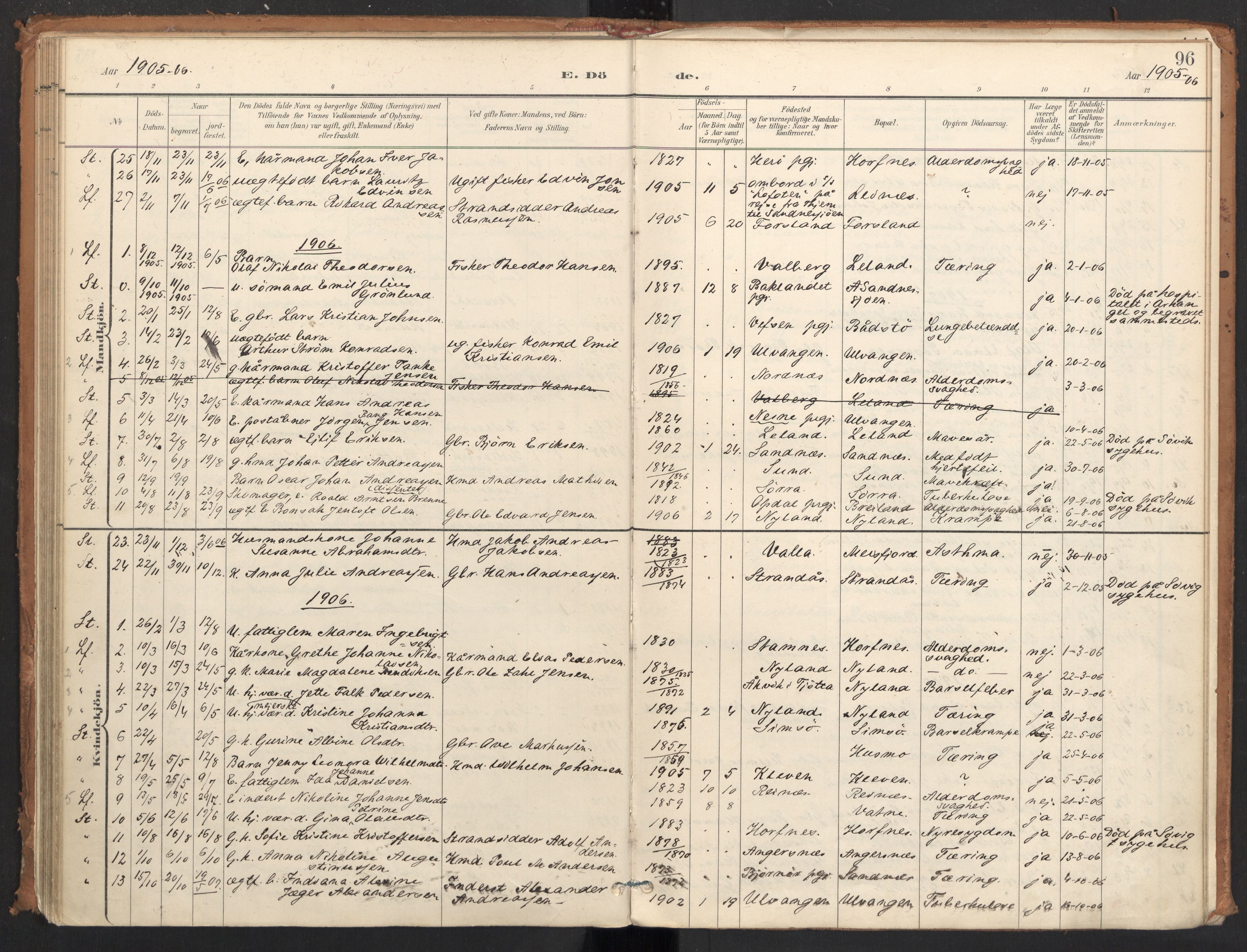 Ministerialprotokoller, klokkerbøker og fødselsregistre - Nordland, AV/SAT-A-1459/831/L0472: Parish register (official) no. 831A03, 1897-1912, p. 96