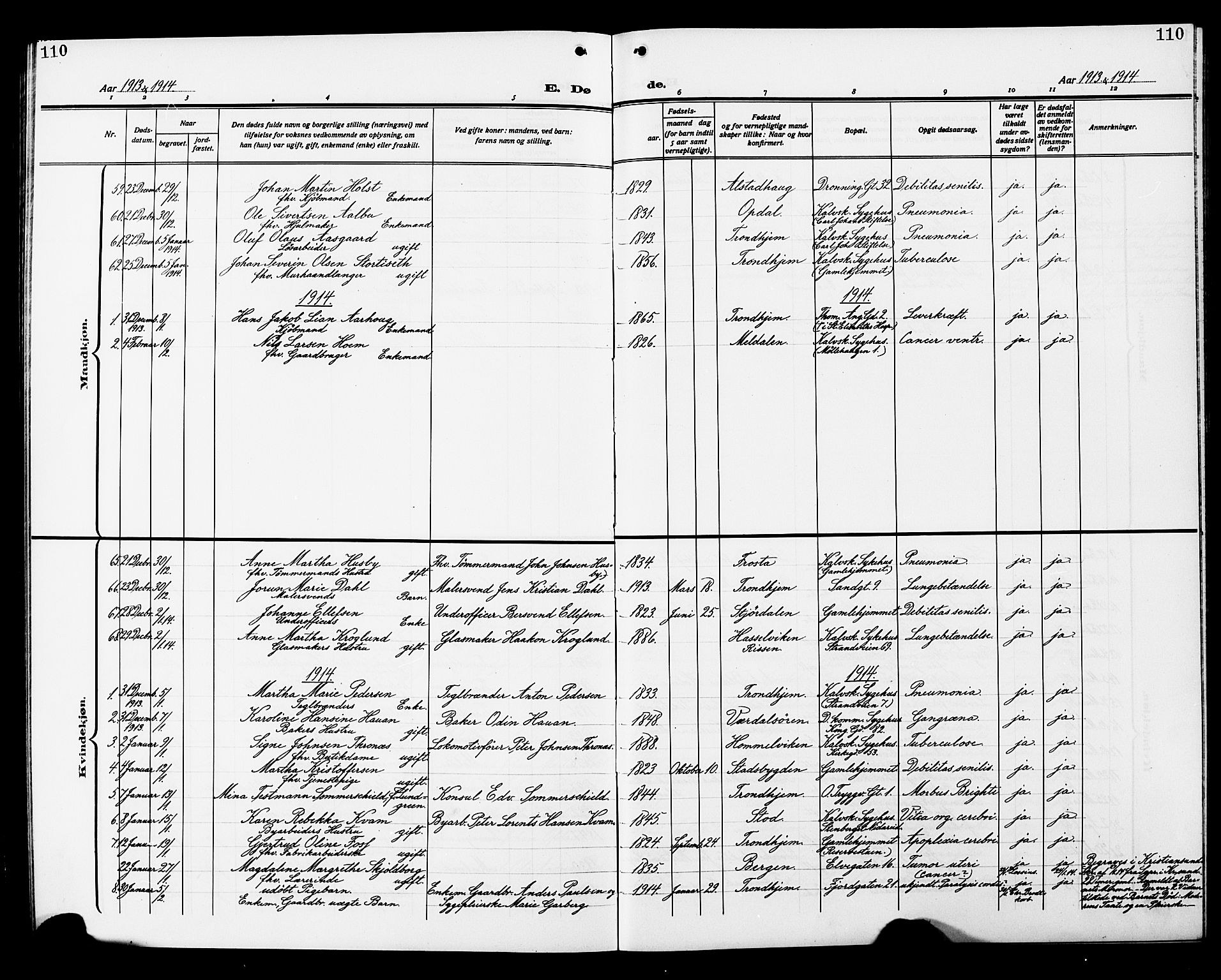 Ministerialprotokoller, klokkerbøker og fødselsregistre - Sør-Trøndelag, SAT/A-1456/602/L0147: Parish register (copy) no. 602C15, 1911-1924, p. 110