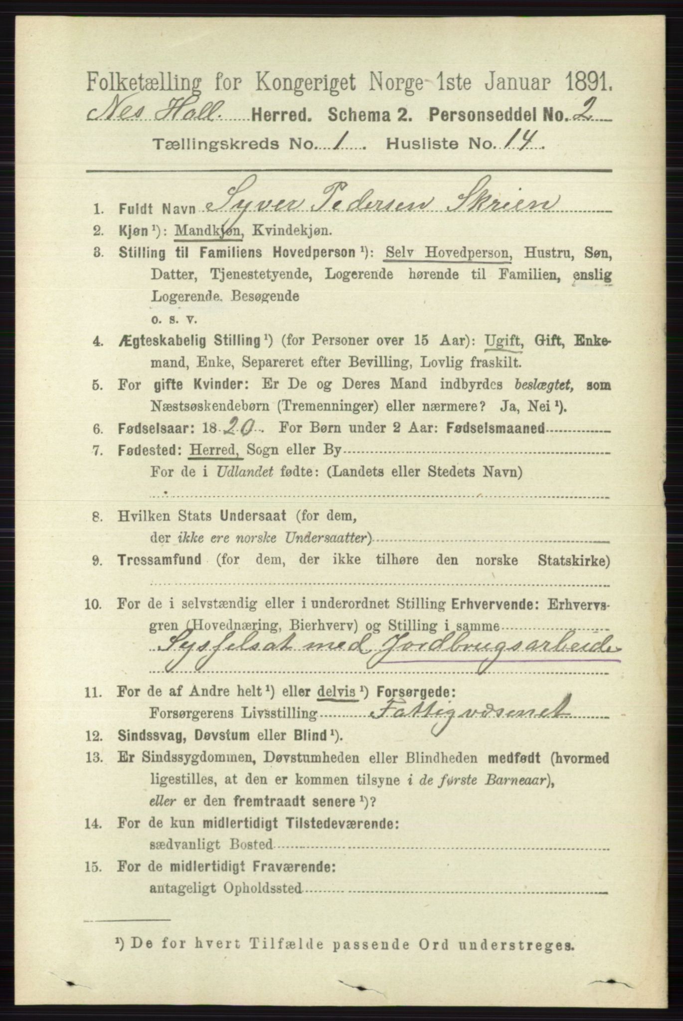 RA, 1891 census for 0616 Nes, 1891, p. 243