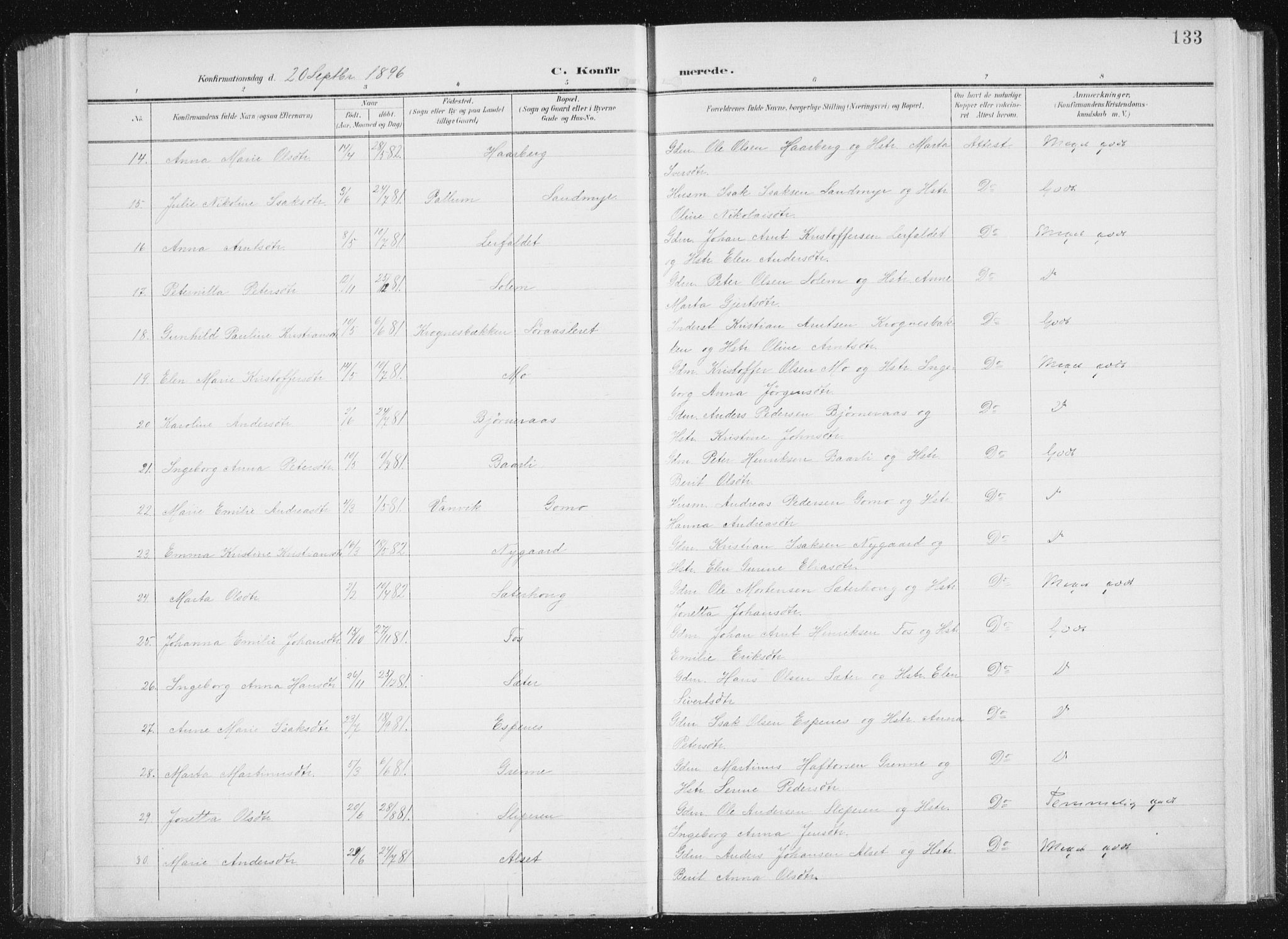 Ministerialprotokoller, klokkerbøker og fødselsregistre - Sør-Trøndelag, AV/SAT-A-1456/647/L0635: Parish register (official) no. 647A02, 1896-1911, p. 133