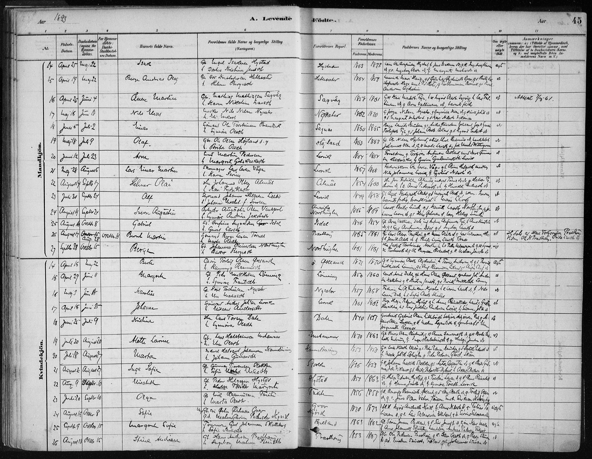 Stord sokneprestembete, SAB/A-78201/H/Haa: Parish register (official) no. B 2, 1878-1913, p. 45