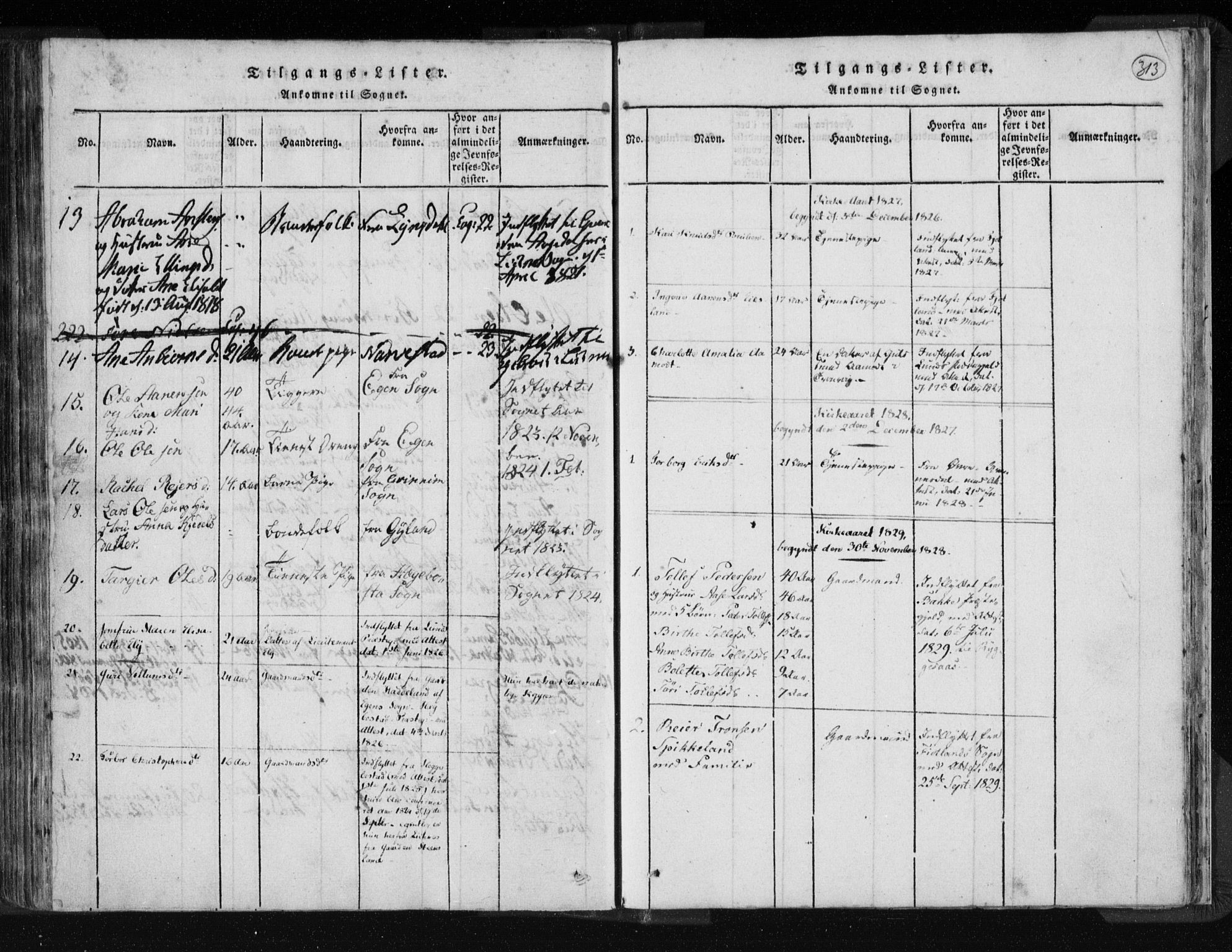 Kvinesdal sokneprestkontor, SAK/1111-0026/F/Fa/Fab/L0003: Parish register (official) no. A 3, 1815-1829, p. 313