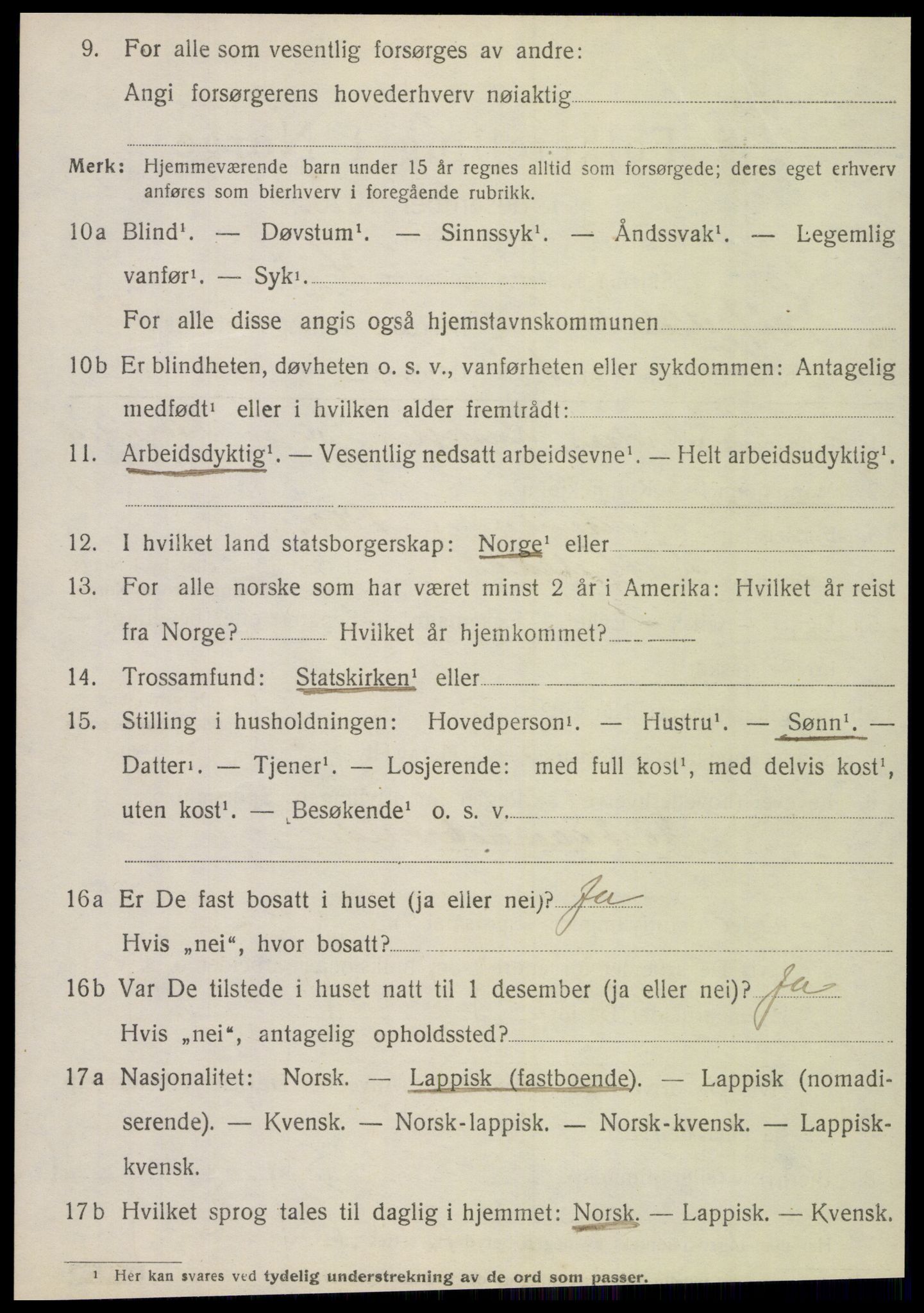 SAT, 1920 census for Hattfjelldal, 1920, p. 2711