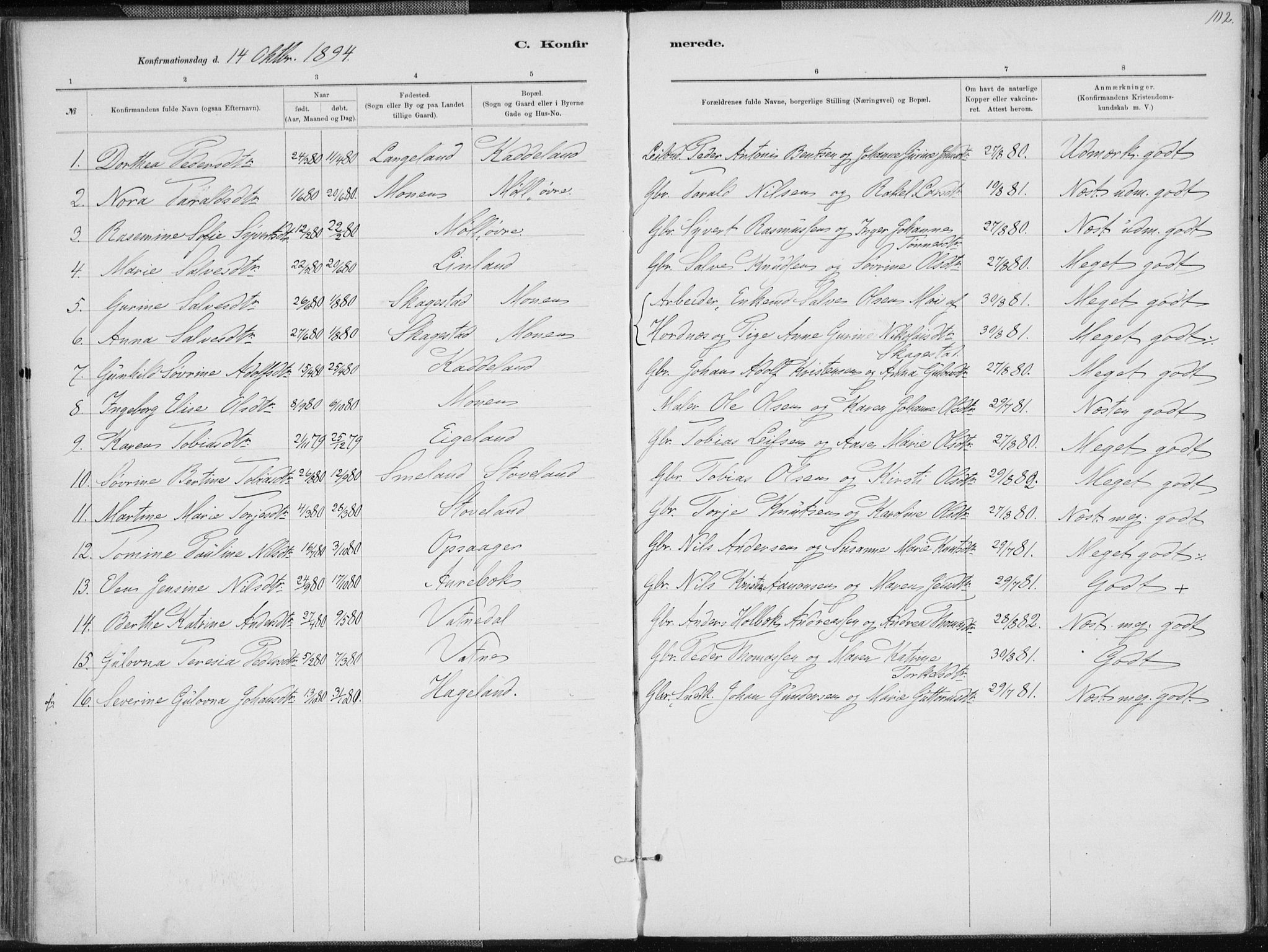 Holum sokneprestkontor, SAK/1111-0022/F/Fa/Faa/L0007: Parish register (official) no. A 7, 1884-1907, p. 102