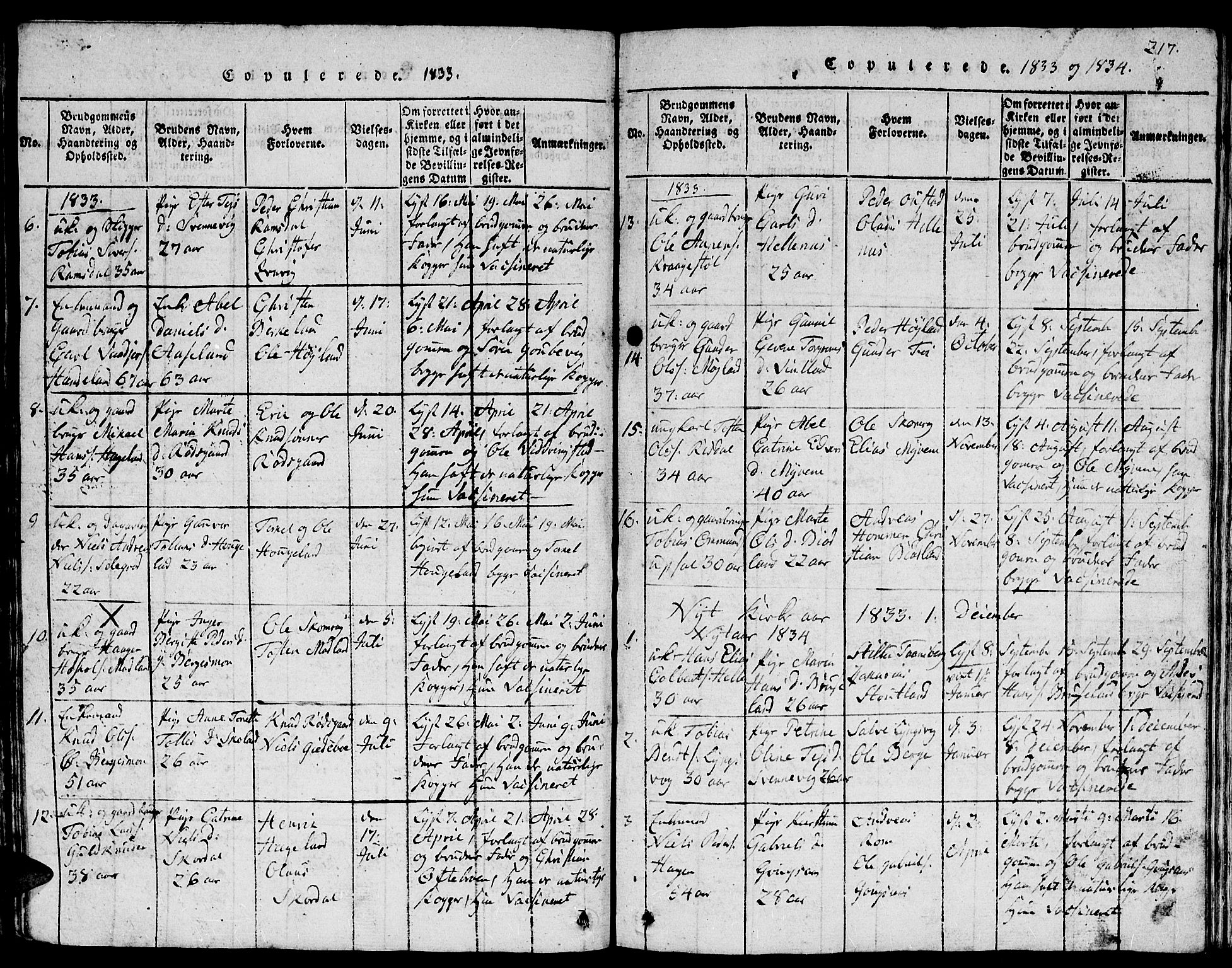 Lyngdal sokneprestkontor, AV/SAK-1111-0029/F/Fb/Fbc/L0001: Parish register (copy) no. B 1, 1815-1844, p. 217