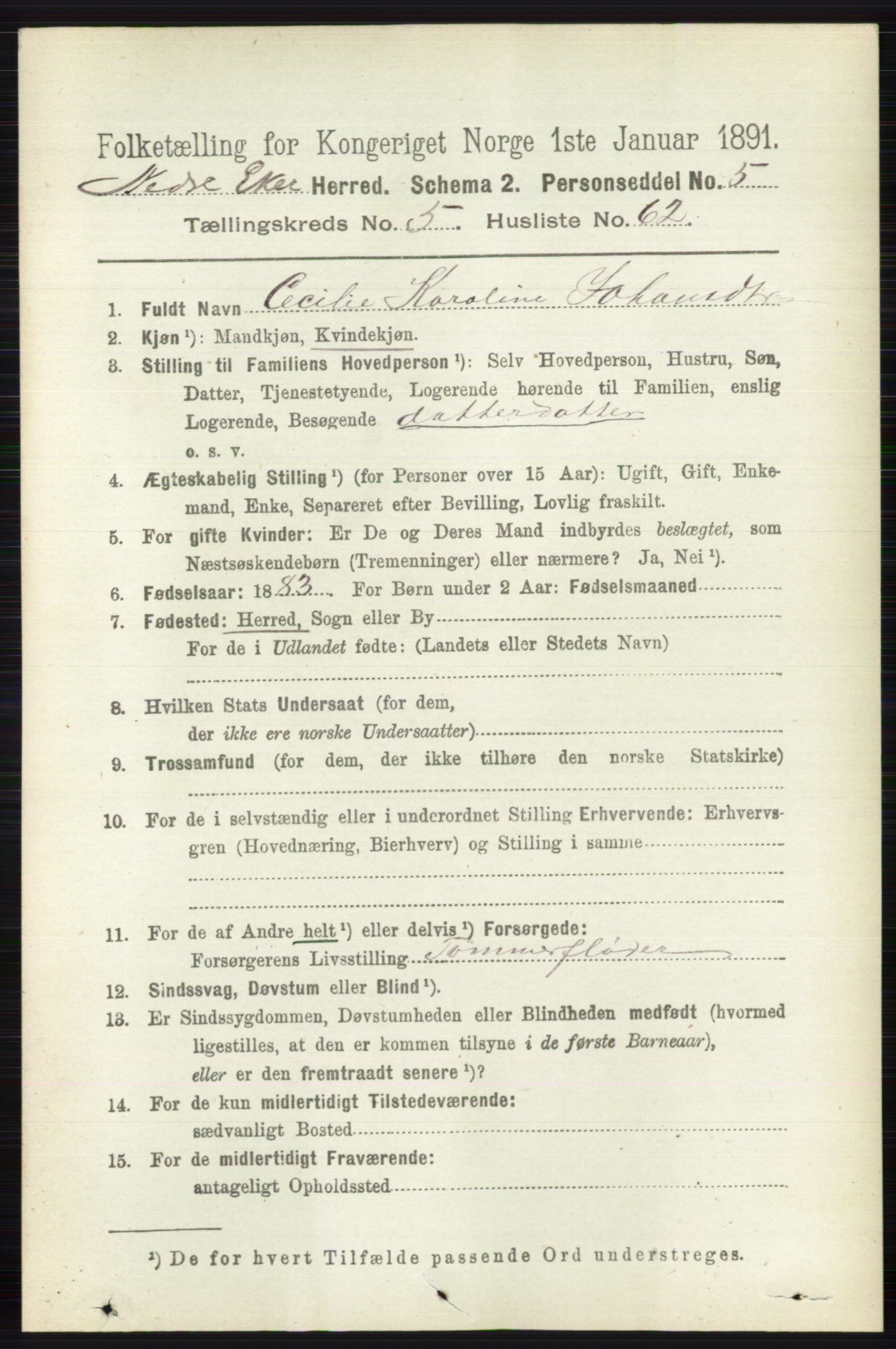 RA, 1891 census for 0625 Nedre Eiker, 1891, p. 2709