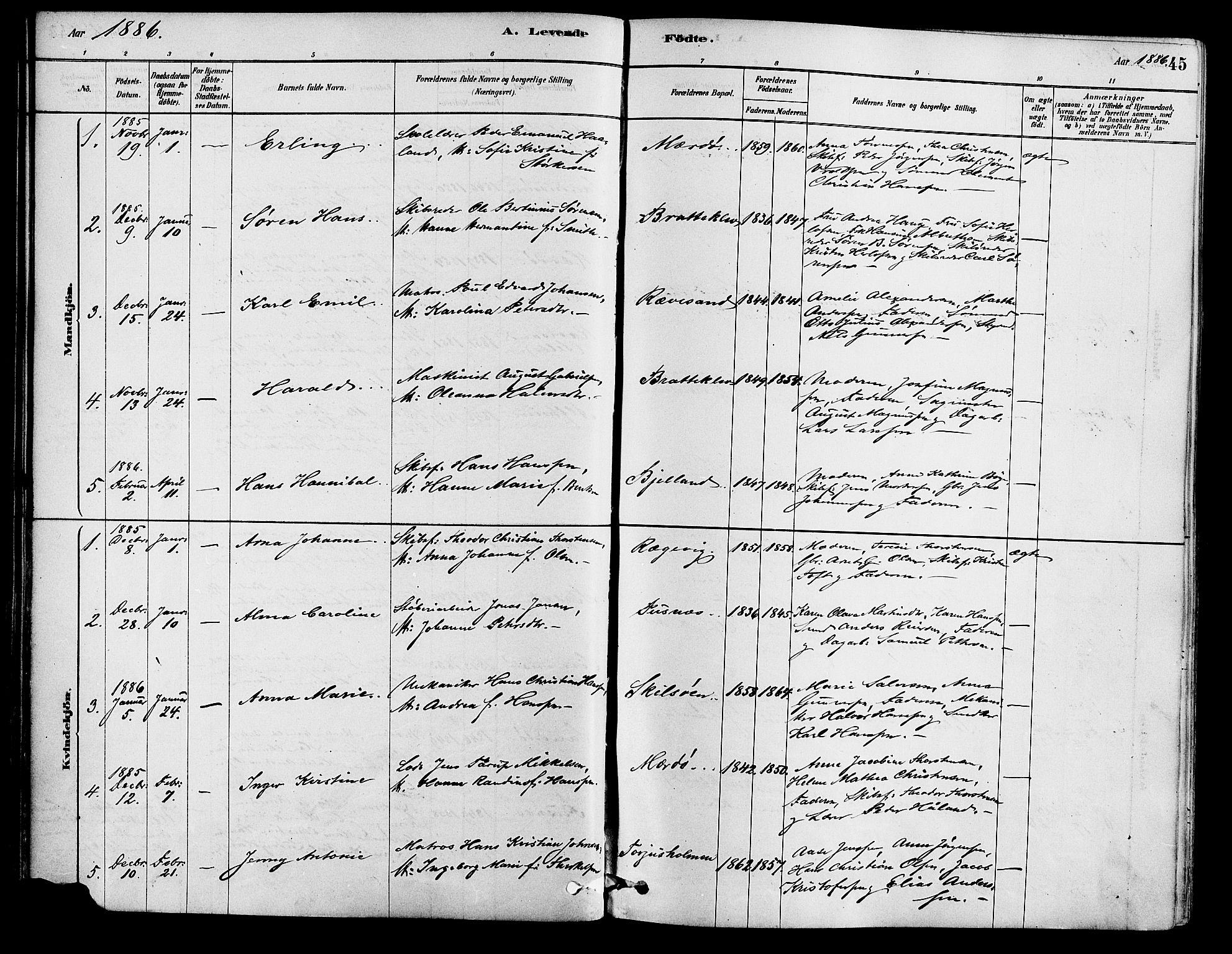 Tromøy sokneprestkontor, AV/SAK-1111-0041/F/Fa/L0009: Parish register (official) no. A 9, 1878-1896, p. 45