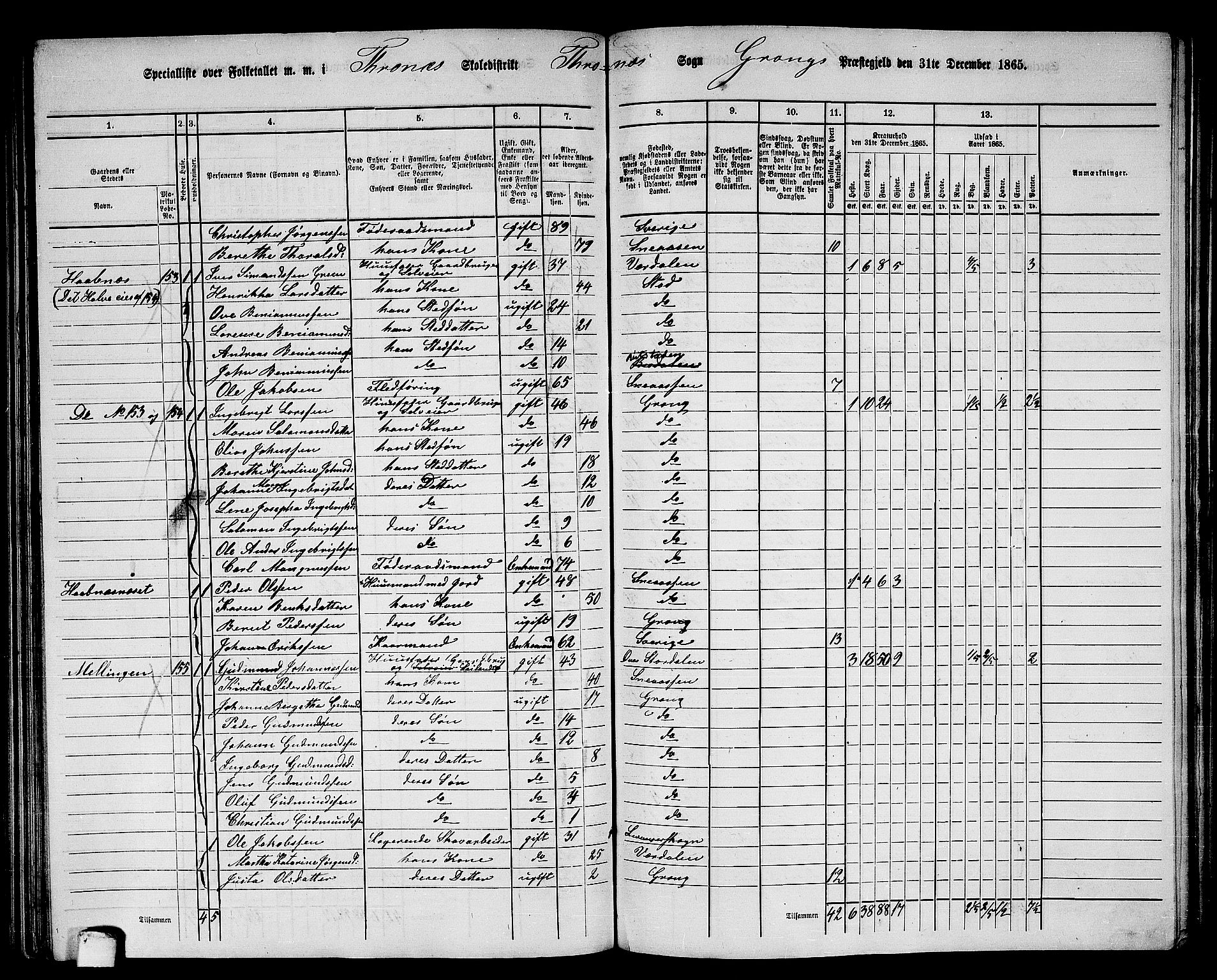 RA, 1865 census for Grong, 1865, p. 127