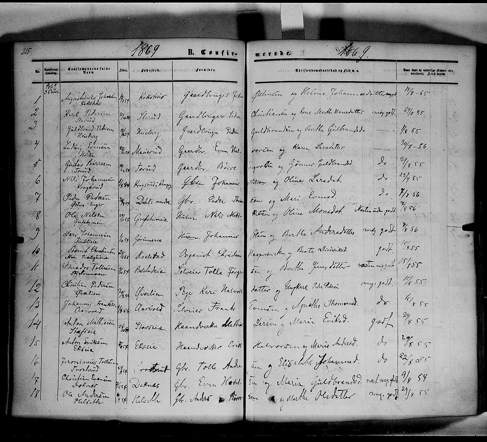 Nes prestekontor, Hedmark, AV/SAH-PREST-020/K/Ka/L0004: Parish register (official) no. 4, 1852-1886, p. 215