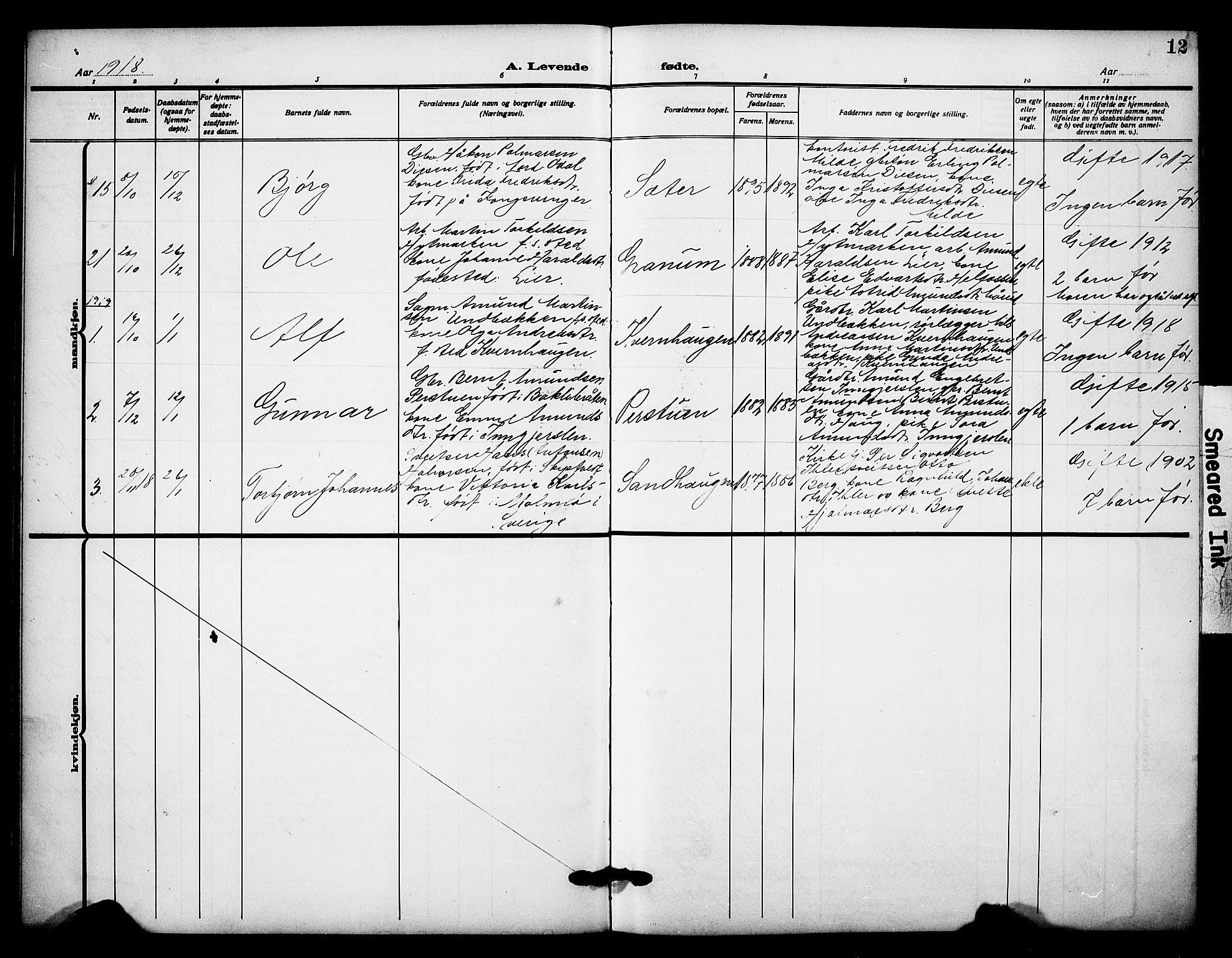 Sør-Odal prestekontor, SAH/PREST-030/H/Ha/Hab/L0009: Parish register (copy) no. 9, 1915-1927, p. 12