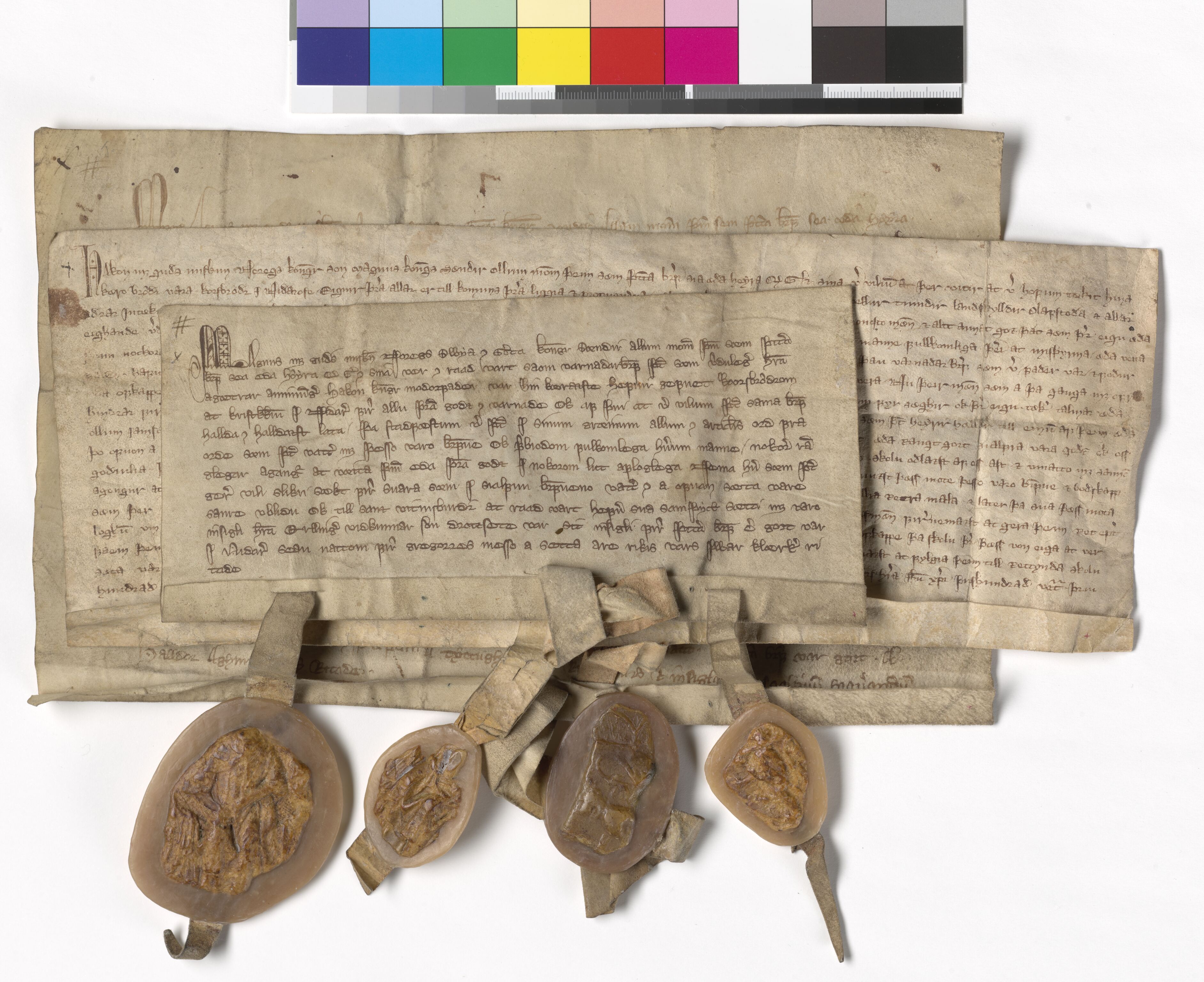 Riksarkivets diplomsamling, AV/RA-EA-5965/F05/L0004: NRA AM fasc. 2 nr. 1-2c, 1301-1339, p. 7