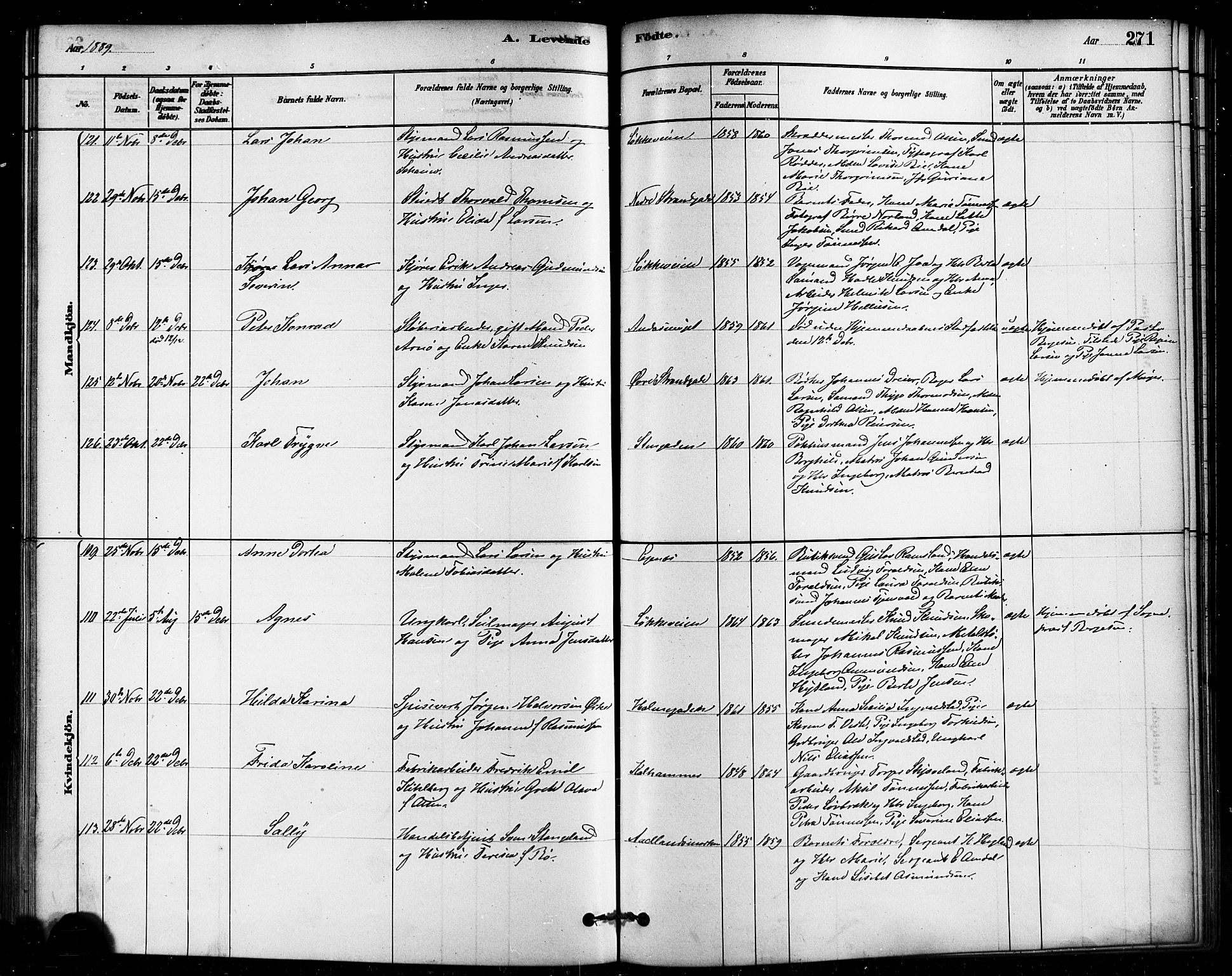 Domkirken sokneprestkontor, AV/SAST-A-101812/001/30/30BB/L0015: Parish register (copy) no. B 15, 1880-1891, p. 271