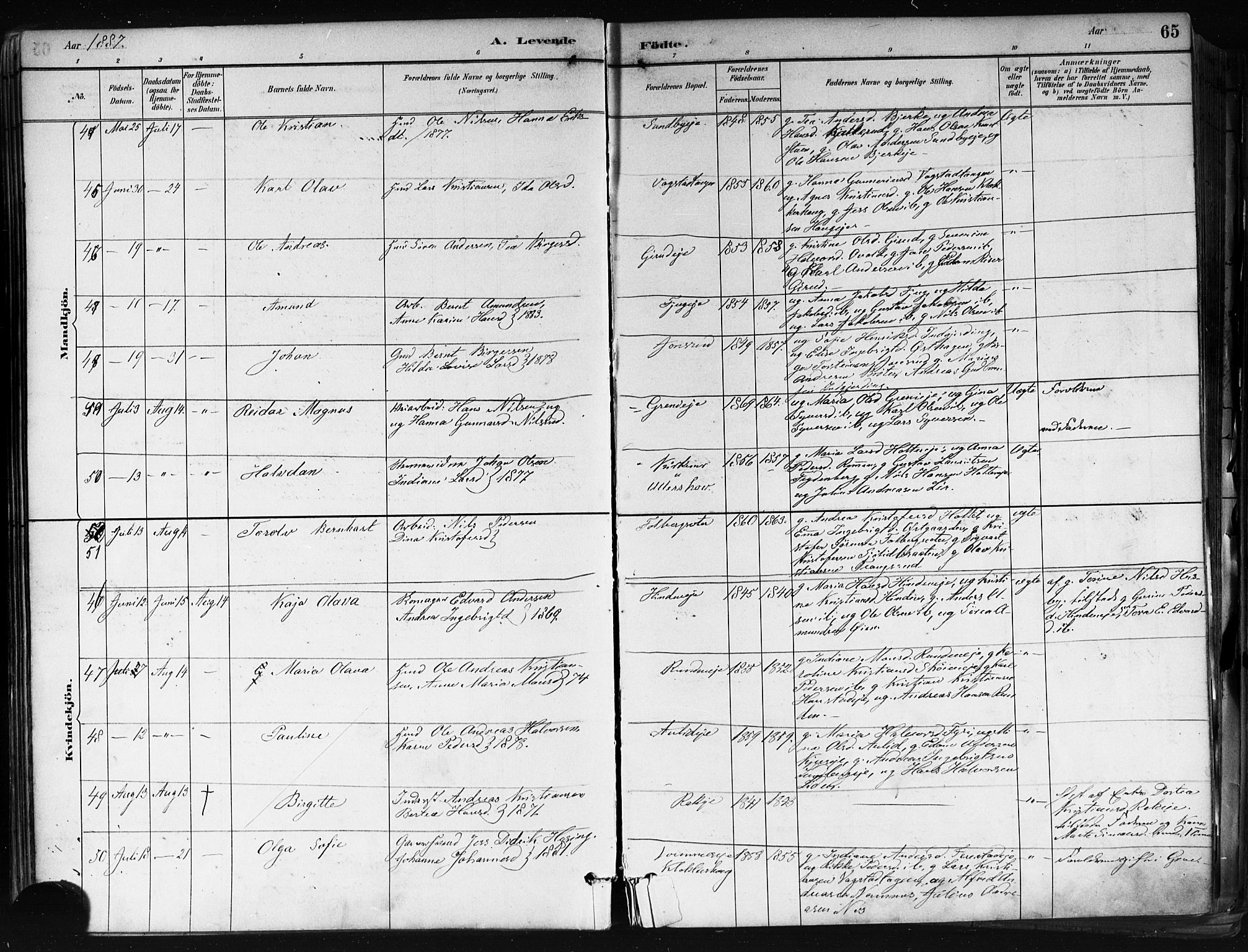 Nes prestekontor Kirkebøker, SAO/A-10410/F/Fa/L0010: Parish register (official) no. I 10, 1883-1898, p. 65