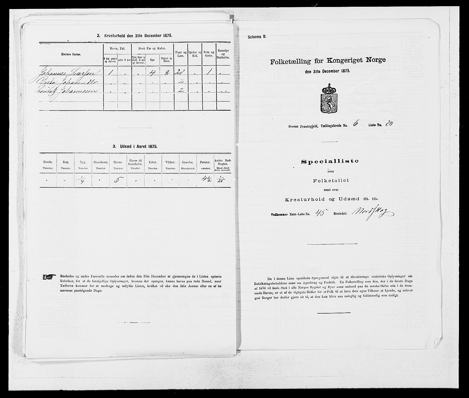 SAB, 1875 census for 1216P Sveio, 1875, p. 781