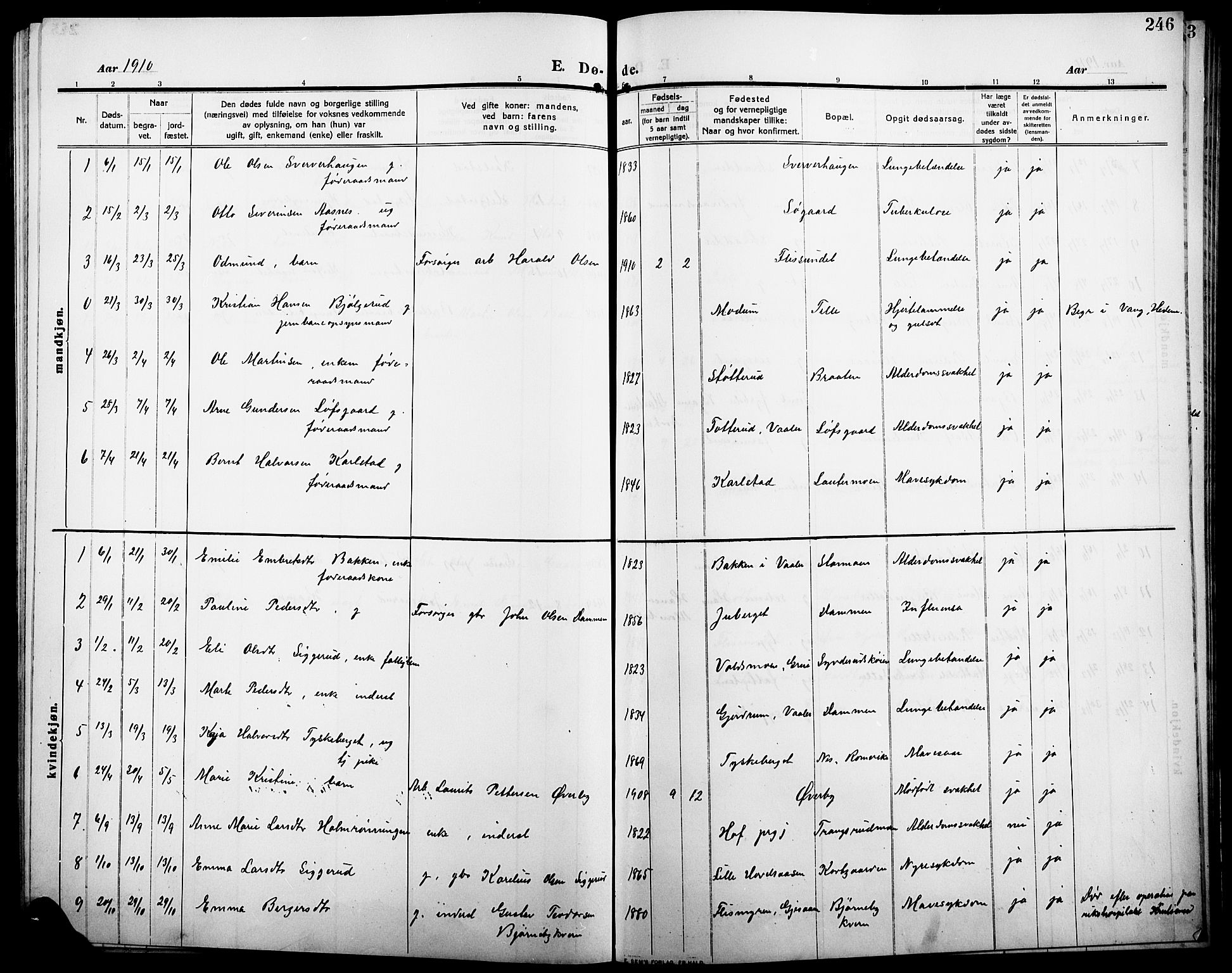 Åsnes prestekontor, SAH/PREST-042/H/Ha/Hab/L0007: Parish register (copy) no. 7, 1909-1926, p. 246