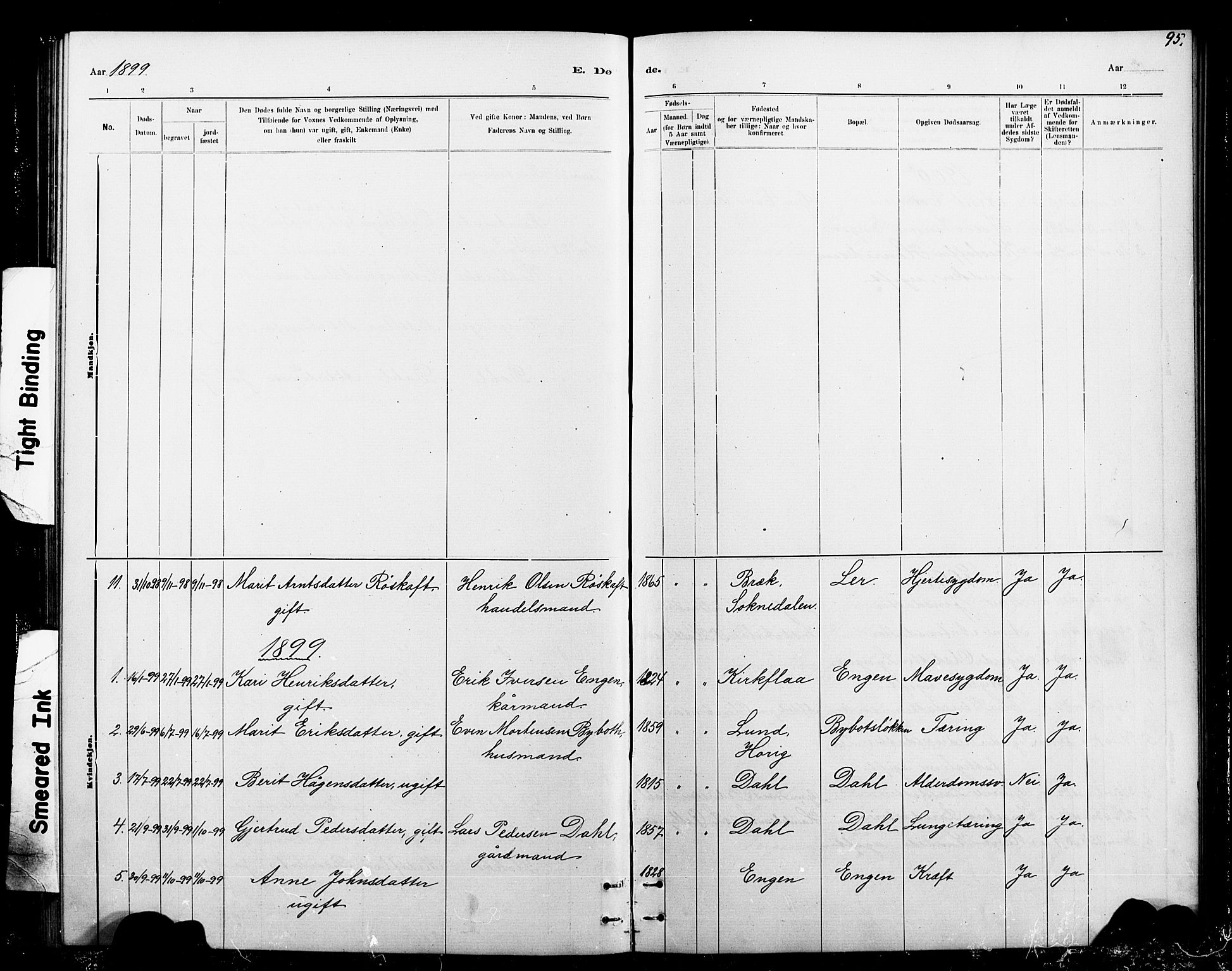 Ministerialprotokoller, klokkerbøker og fødselsregistre - Sør-Trøndelag, SAT/A-1456/693/L1123: Parish register (copy) no. 693C04, 1887-1910, p. 95