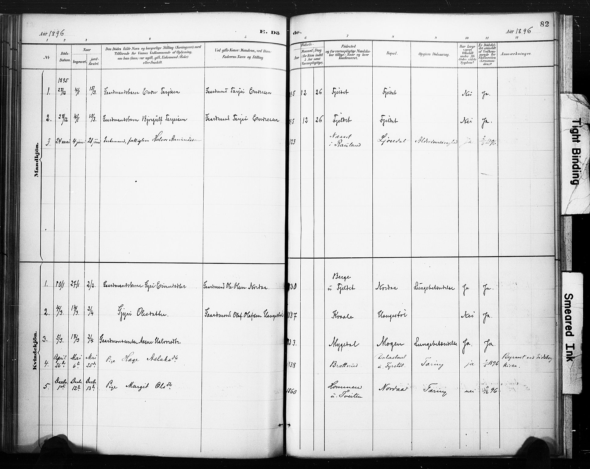 Lårdal kirkebøker, AV/SAKO-A-284/F/Fc/L0002: Parish register (official) no. III 2, 1887-1906, p. 82