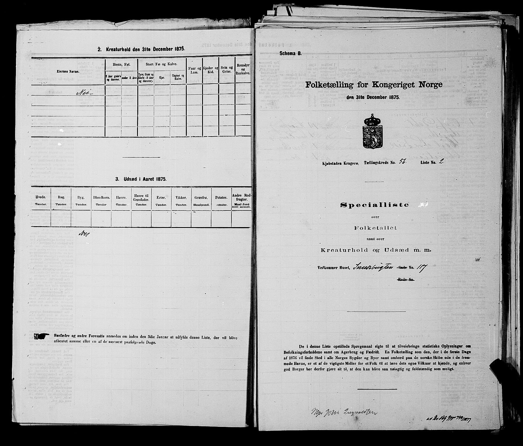 SAKO, 1875 census for 0801P Kragerø, 1875, p. 1239