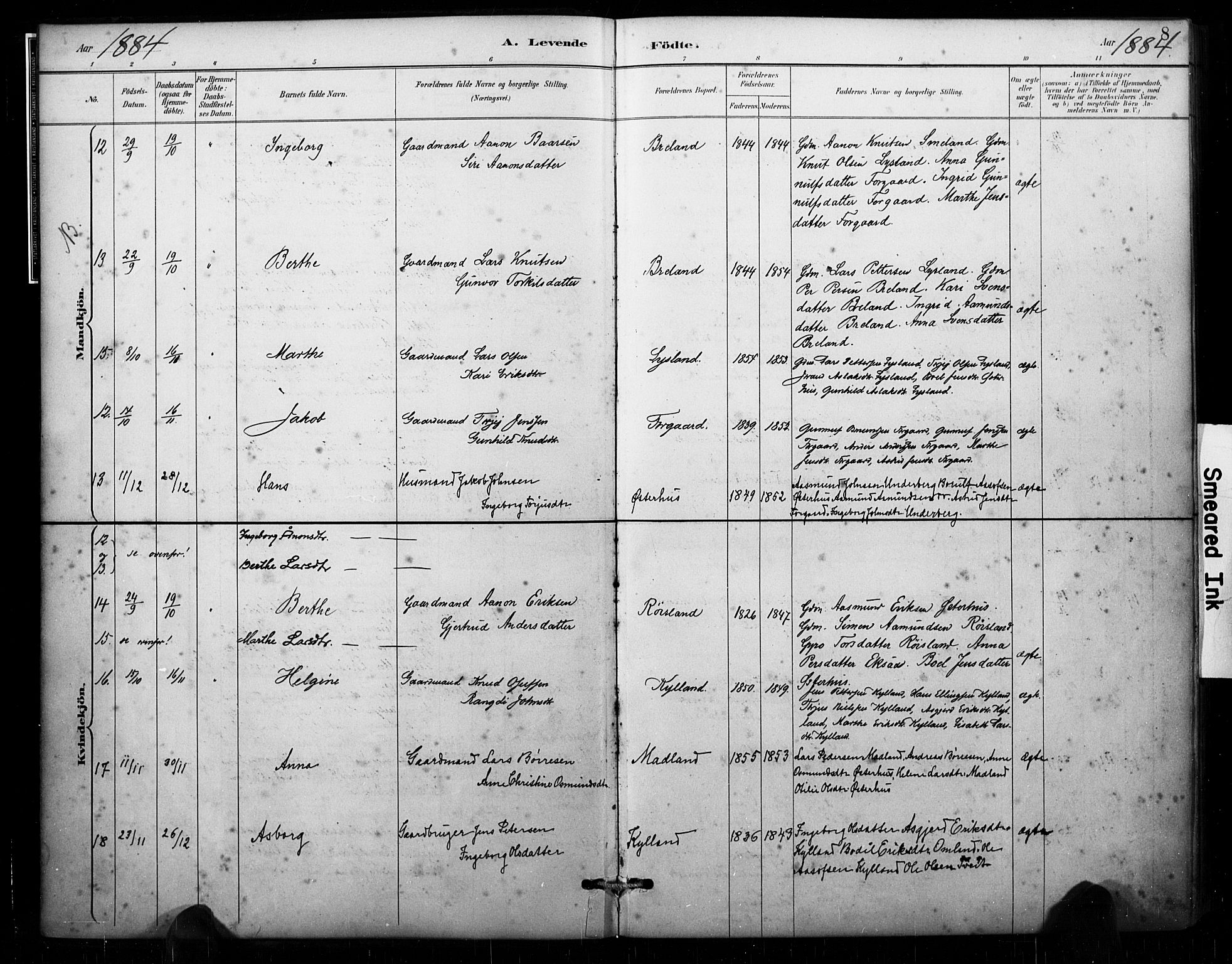 Åseral sokneprestkontor, AV/SAK-1111-0051/F/Fa/L0003: Parish register (official) no. A 3, 1884-1901, p. 8