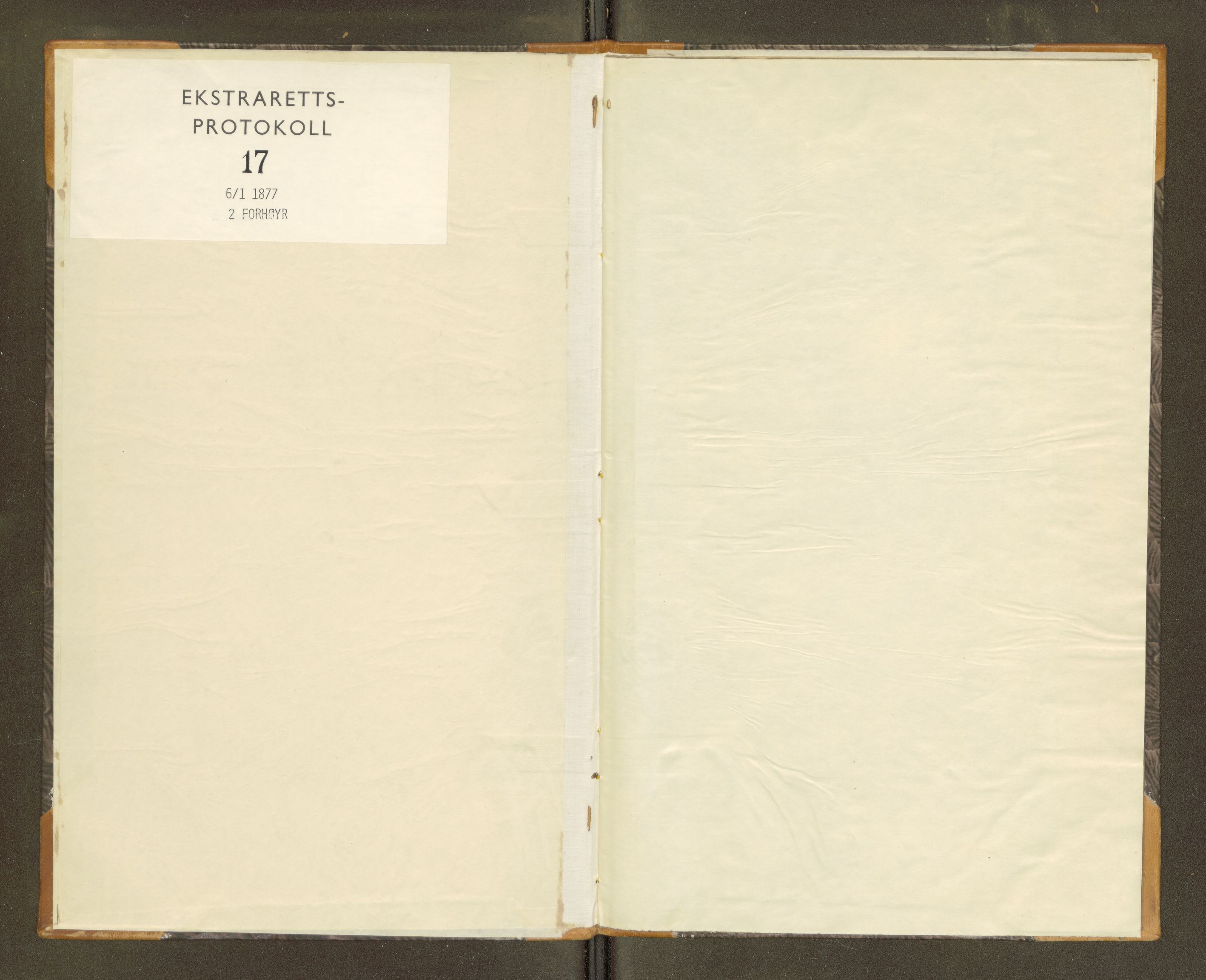 Vesterålen sorenskriveri, SAT/A-4180/1/1/1B/L0017: Ekstrarettsprotokoll, 1877