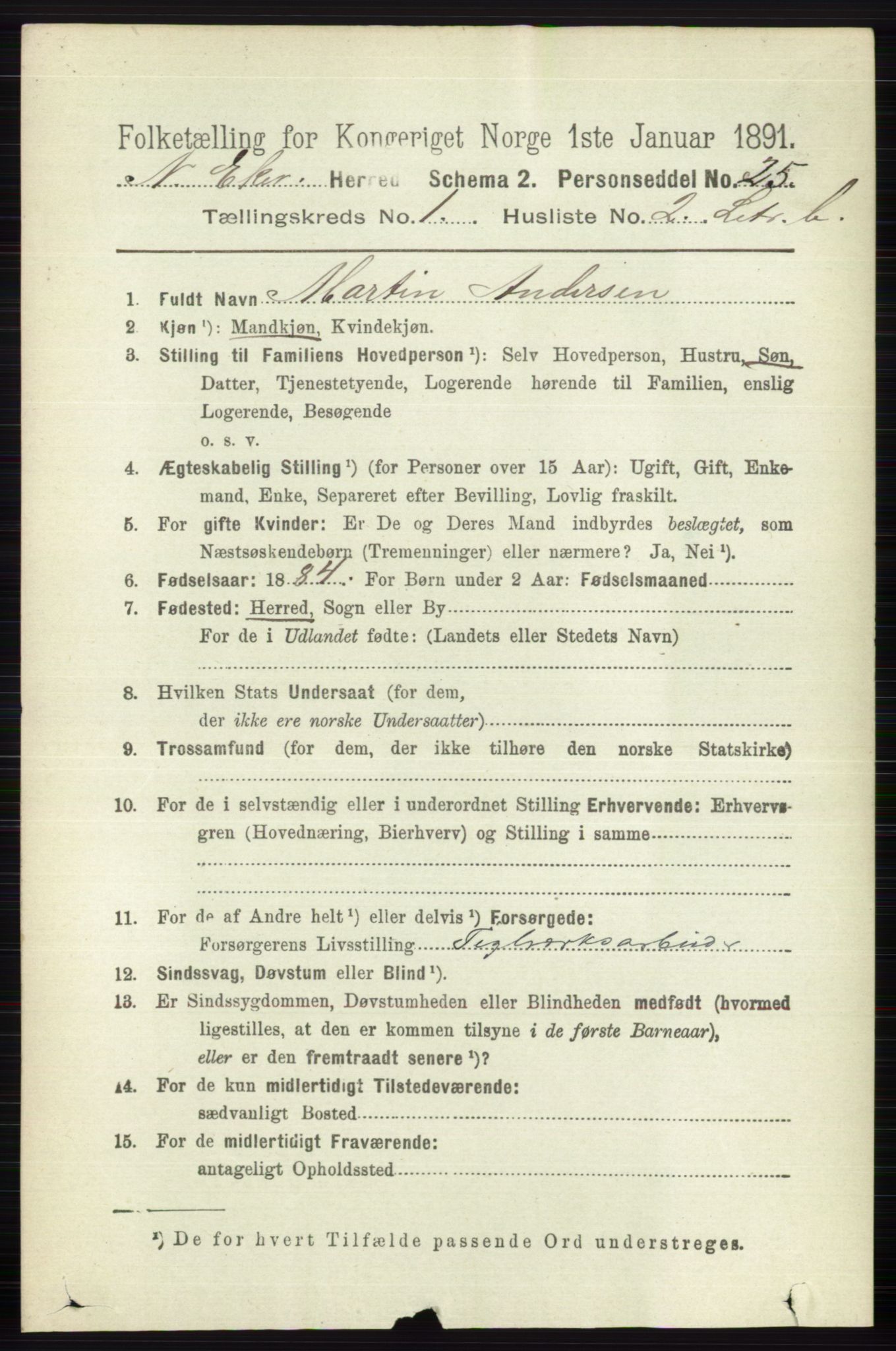 RA, 1891 census for 0625 Nedre Eiker, 1891, p. 435