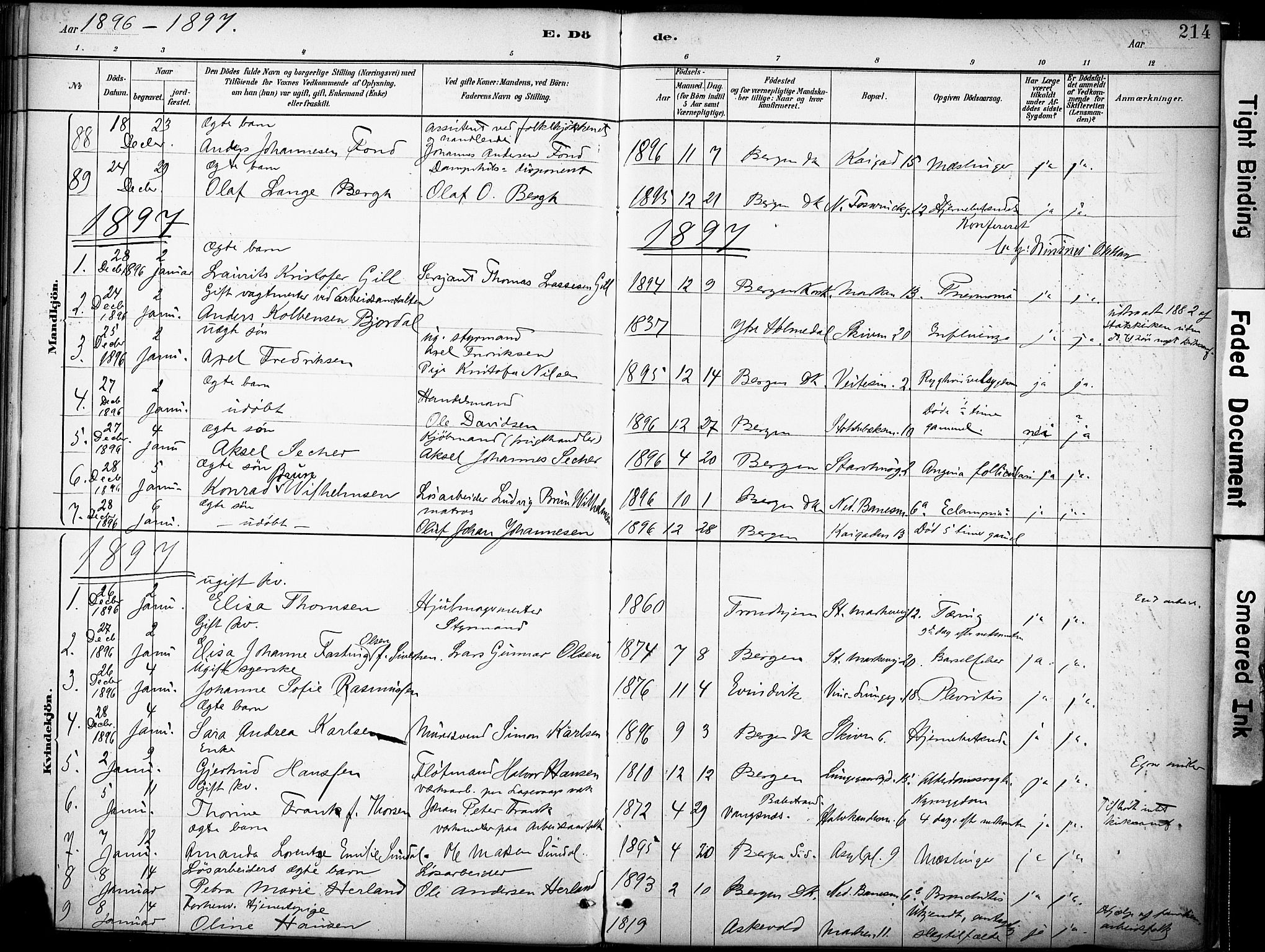 Domkirken sokneprestembete, SAB/A-74801/H/Haa/L0043: Parish register (official) no. E 5, 1882-1904, p. 214