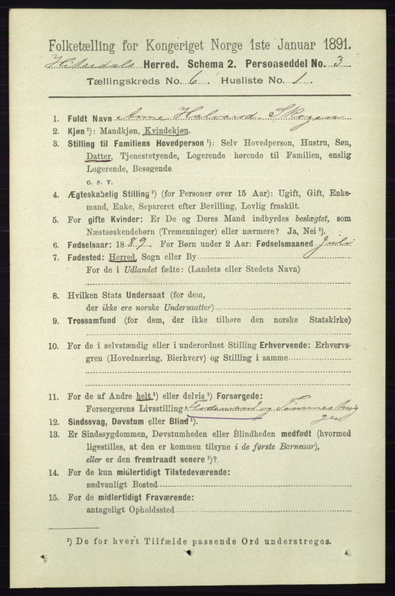 RA, 1891 census for 0823 Heddal, 1891, p. 2595