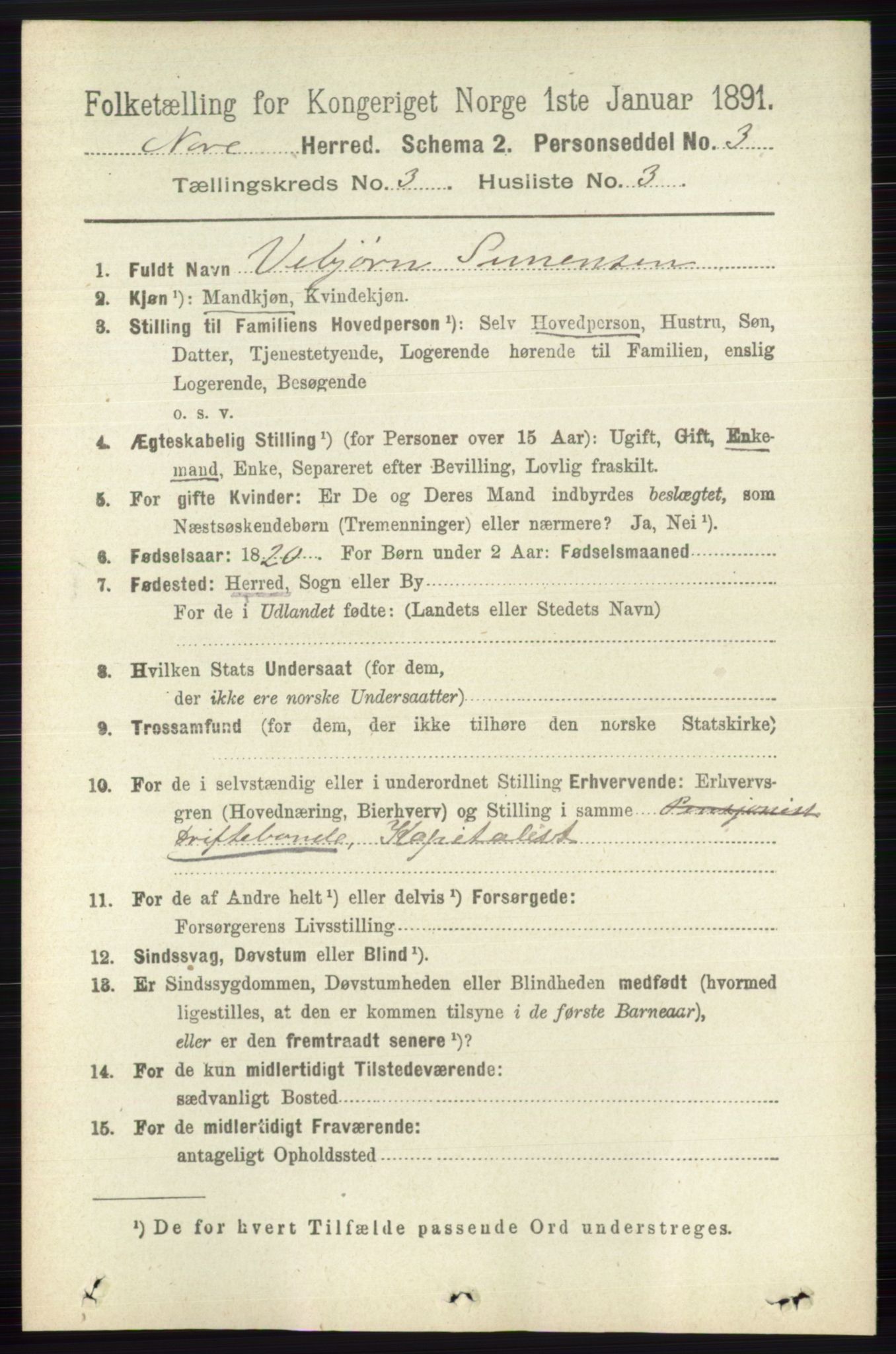 RA, 1891 census for 0633 Nore, 1891, p. 751