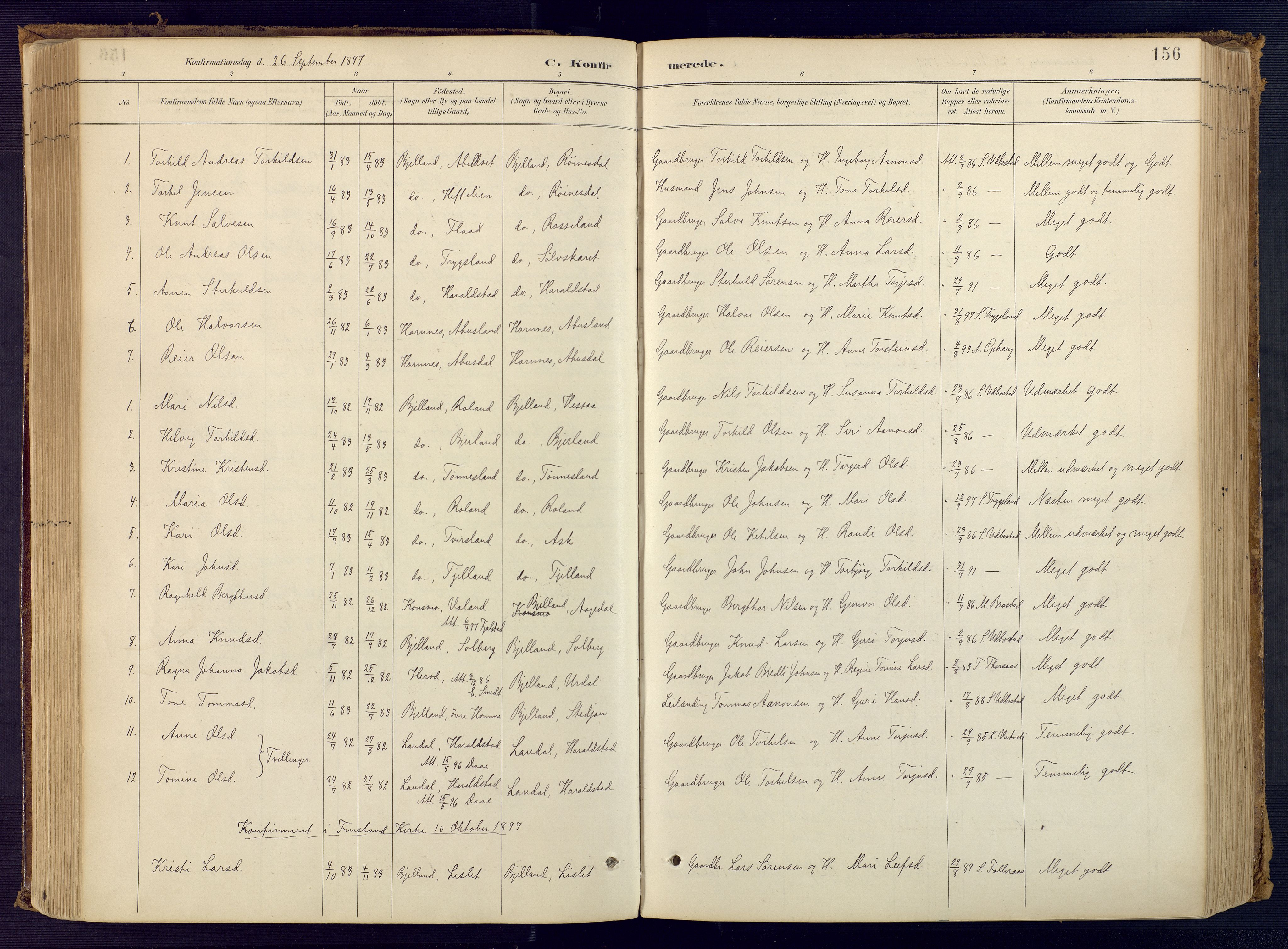 Bjelland sokneprestkontor, SAK/1111-0005/F/Fa/Faa/L0004: Parish register (official) no. A 4, 1887-1923, p. 156