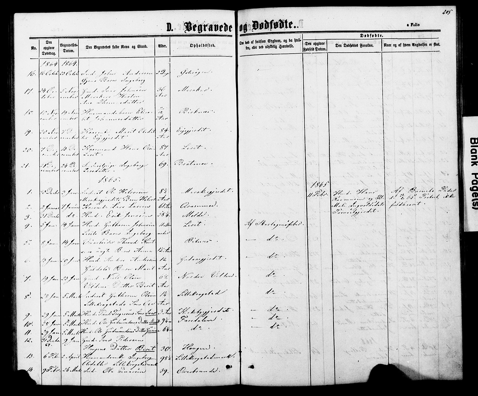 Ministerialprotokoller, klokkerbøker og fødselsregistre - Nord-Trøndelag, SAT/A-1458/706/L0049: Parish register (copy) no. 706C01, 1864-1895, p. 205