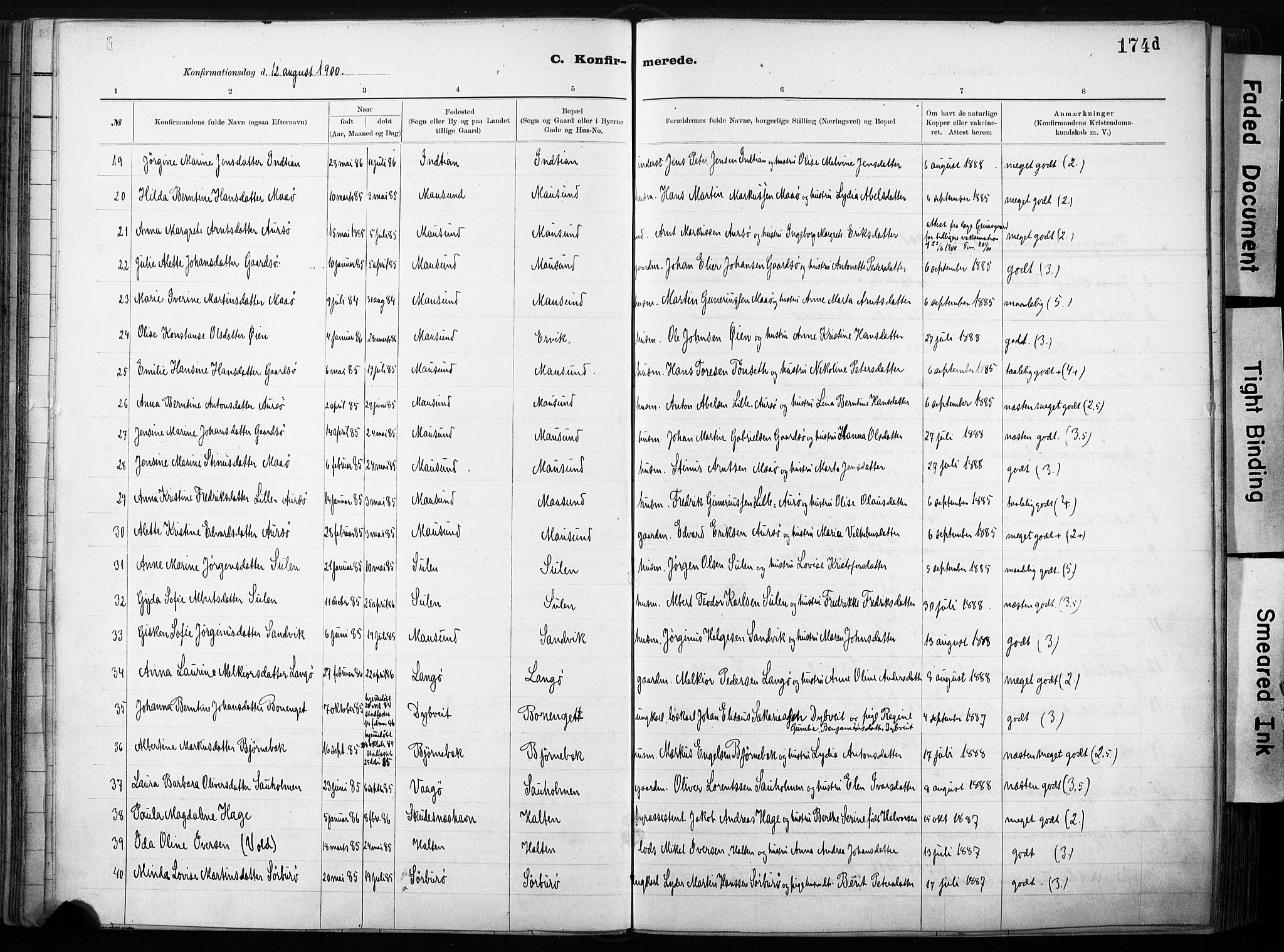 Ministerialprotokoller, klokkerbøker og fødselsregistre - Sør-Trøndelag, SAT/A-1456/640/L0579: Parish register (official) no. 640A04, 1889-1902, p. 174d