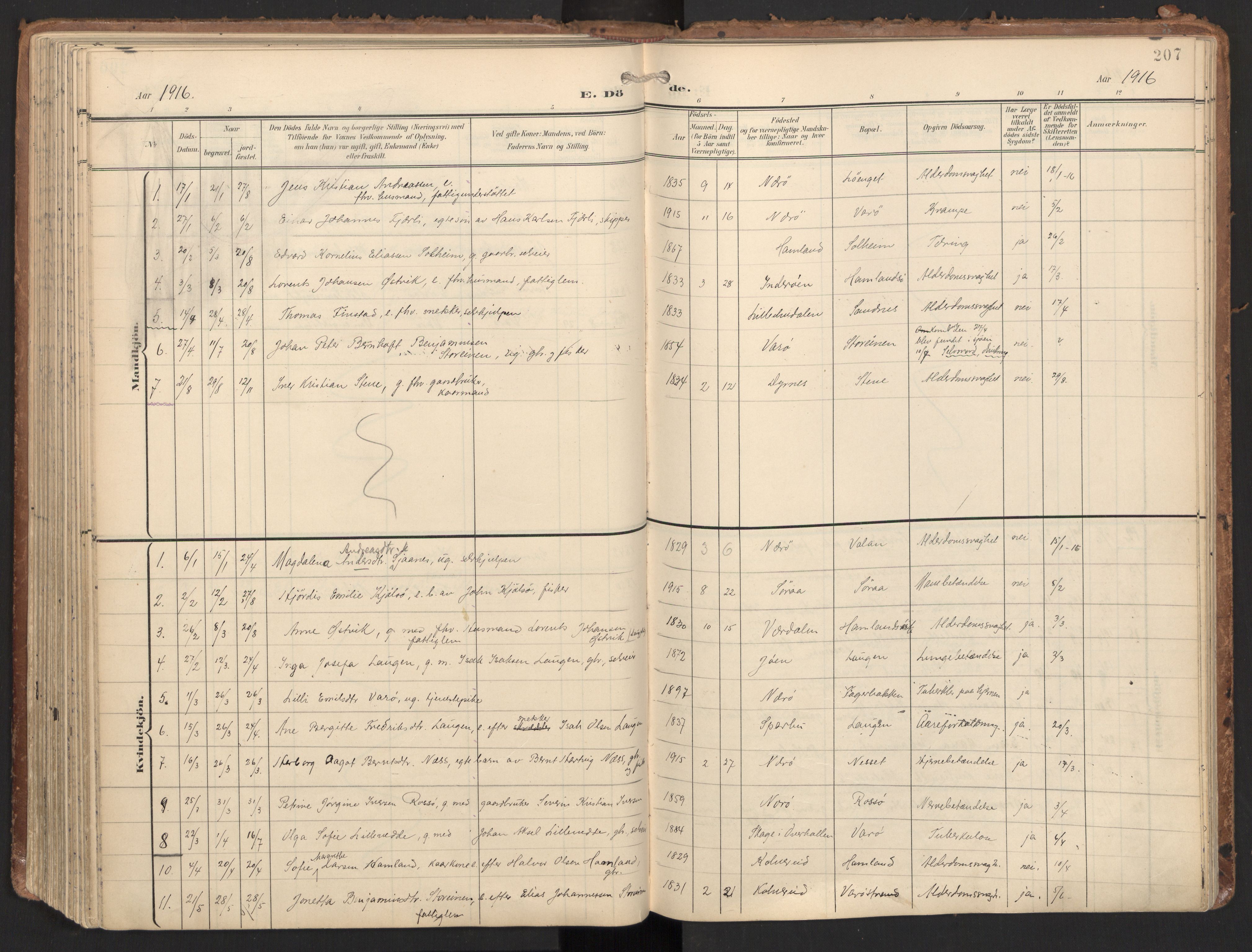 Ministerialprotokoller, klokkerbøker og fødselsregistre - Nord-Trøndelag, SAT/A-1458/784/L0677: Parish register (official) no. 784A12, 1900-1920, p. 207