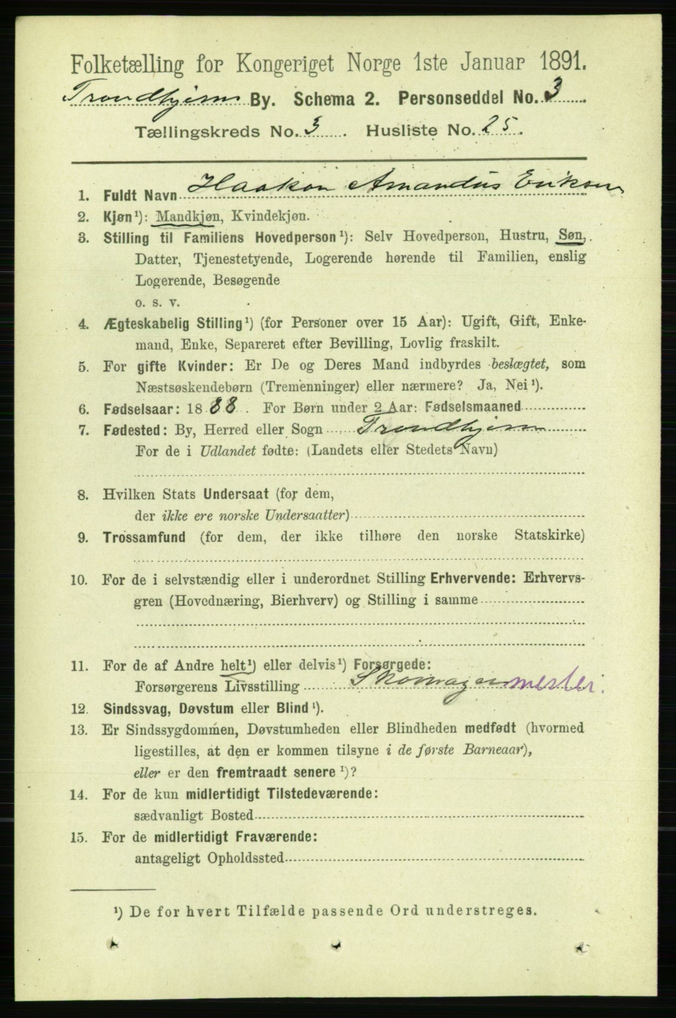 RA, 1891 census for 1601 Trondheim, 1891, p. 4043