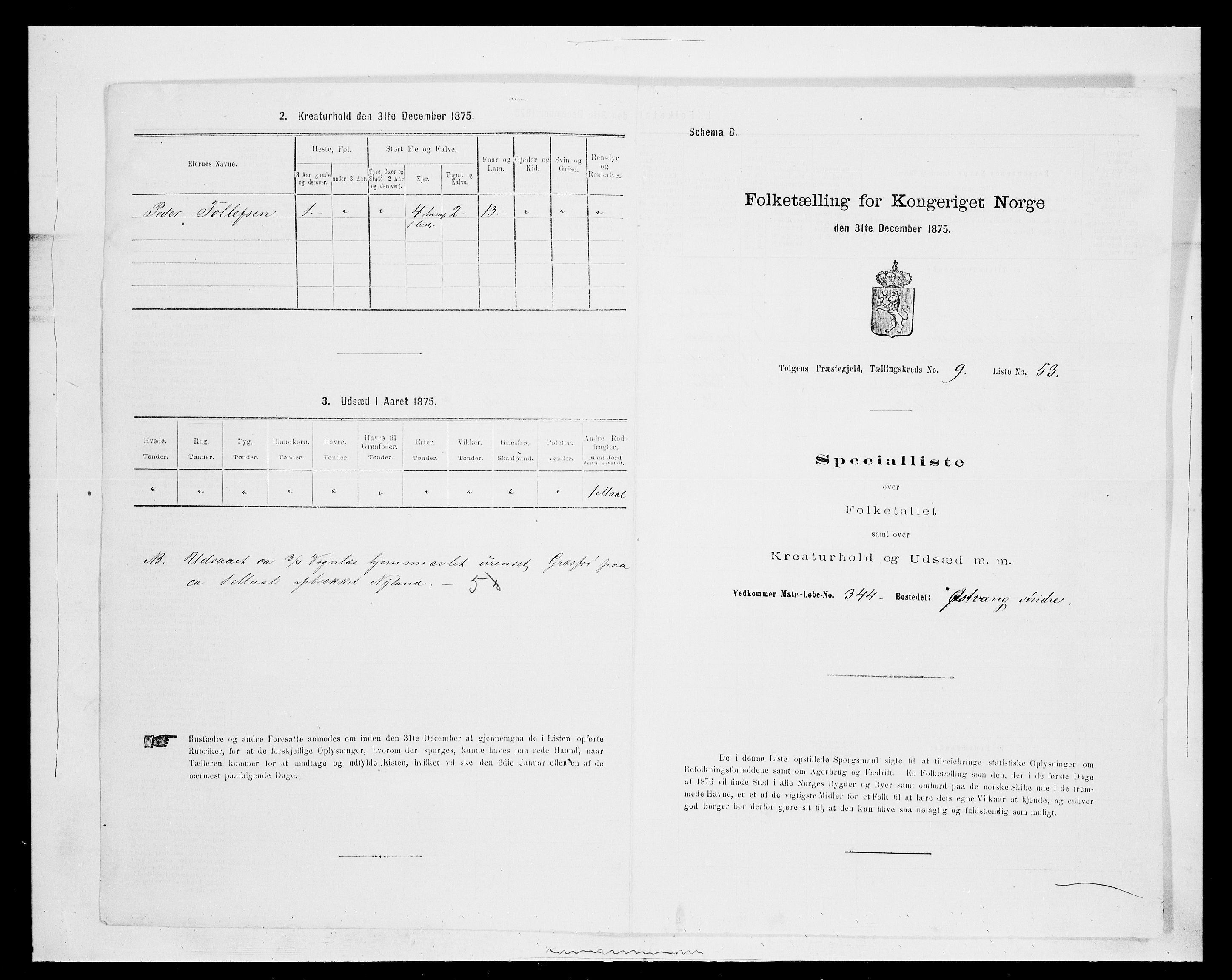 SAH, 1875 census for 0436P Tolga, 1875, p. 992