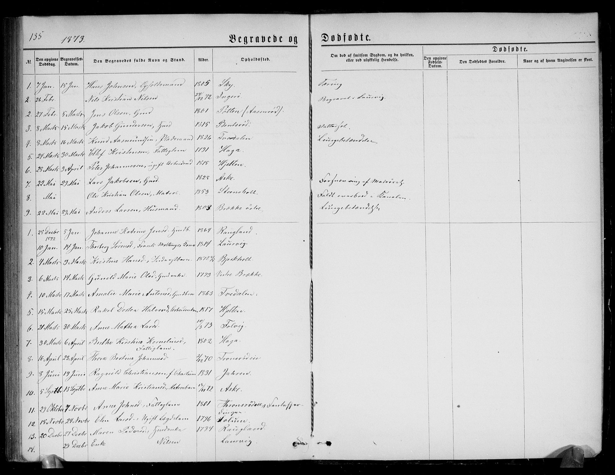 Brunlanes kirkebøker, SAKO/A-342/G/Ga/L0002: Parish register (copy) no. I 2, 1866-1876, p. 135