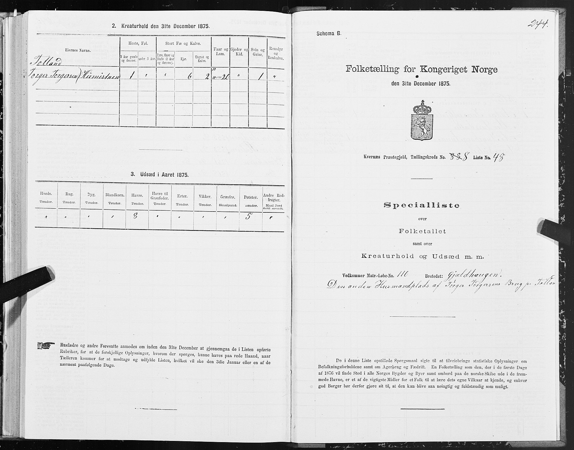 SAT, 1875 census for 1553P Kvernes, 1875, p. 4244