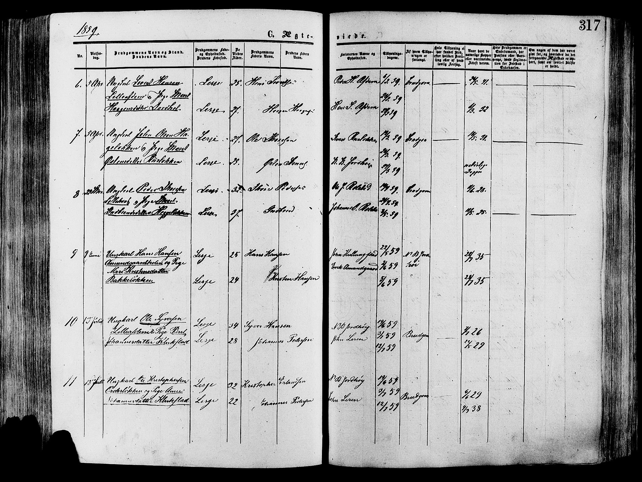 Lesja prestekontor, SAH/PREST-068/H/Ha/Haa/L0008: Parish register (official) no. 8, 1854-1880, p. 317