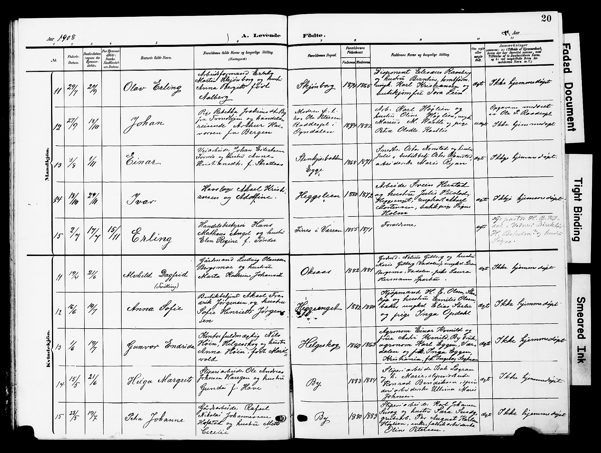 Ministerialprotokoller, klokkerbøker og fødselsregistre - Nord-Trøndelag, SAT/A-1458/740/L0381: Parish register (copy) no. 740C02, 1903-1914, p. 20