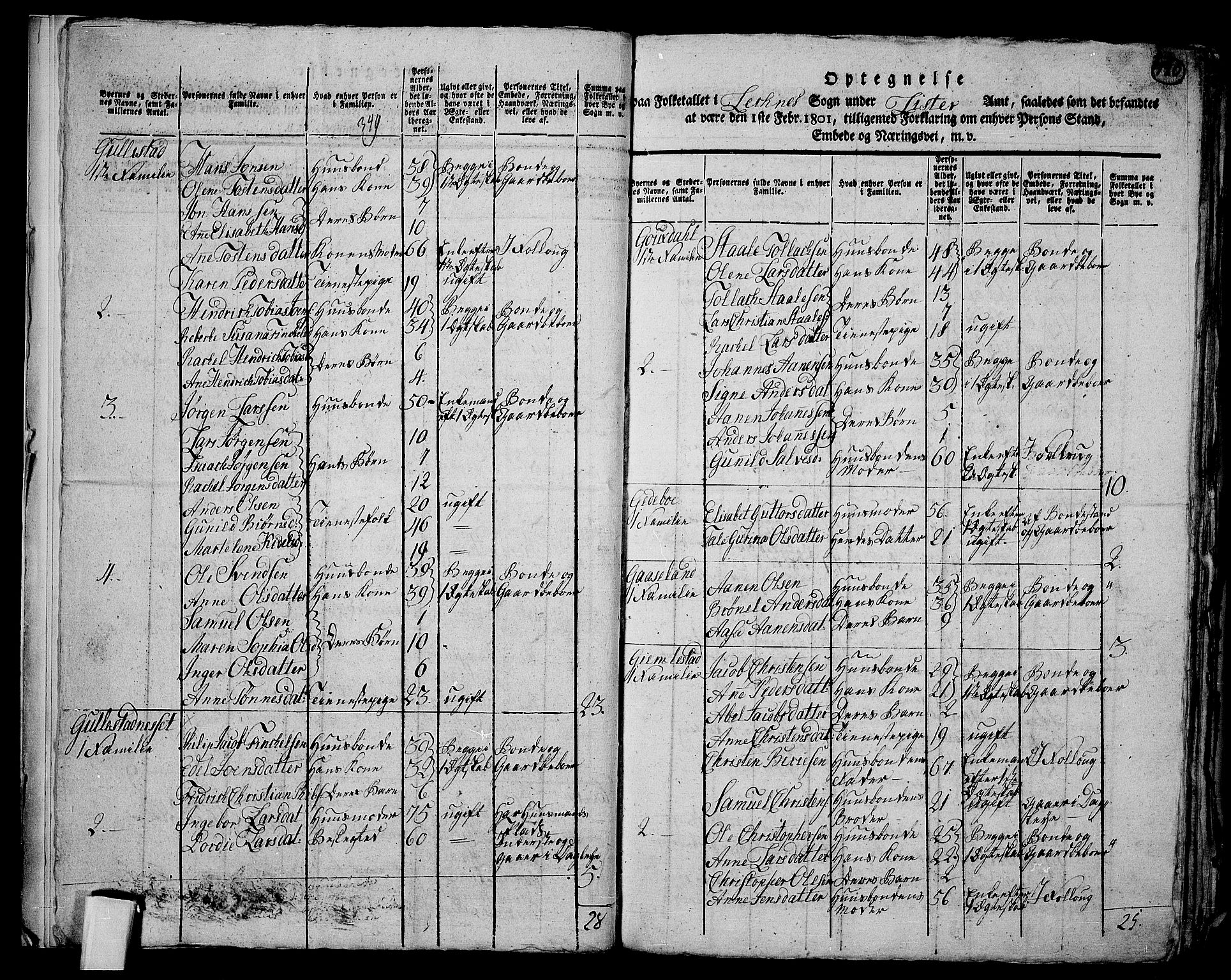 RA, 1801 census for 1037P Nedre Kvinesdal, 1801, p. 419b-420a