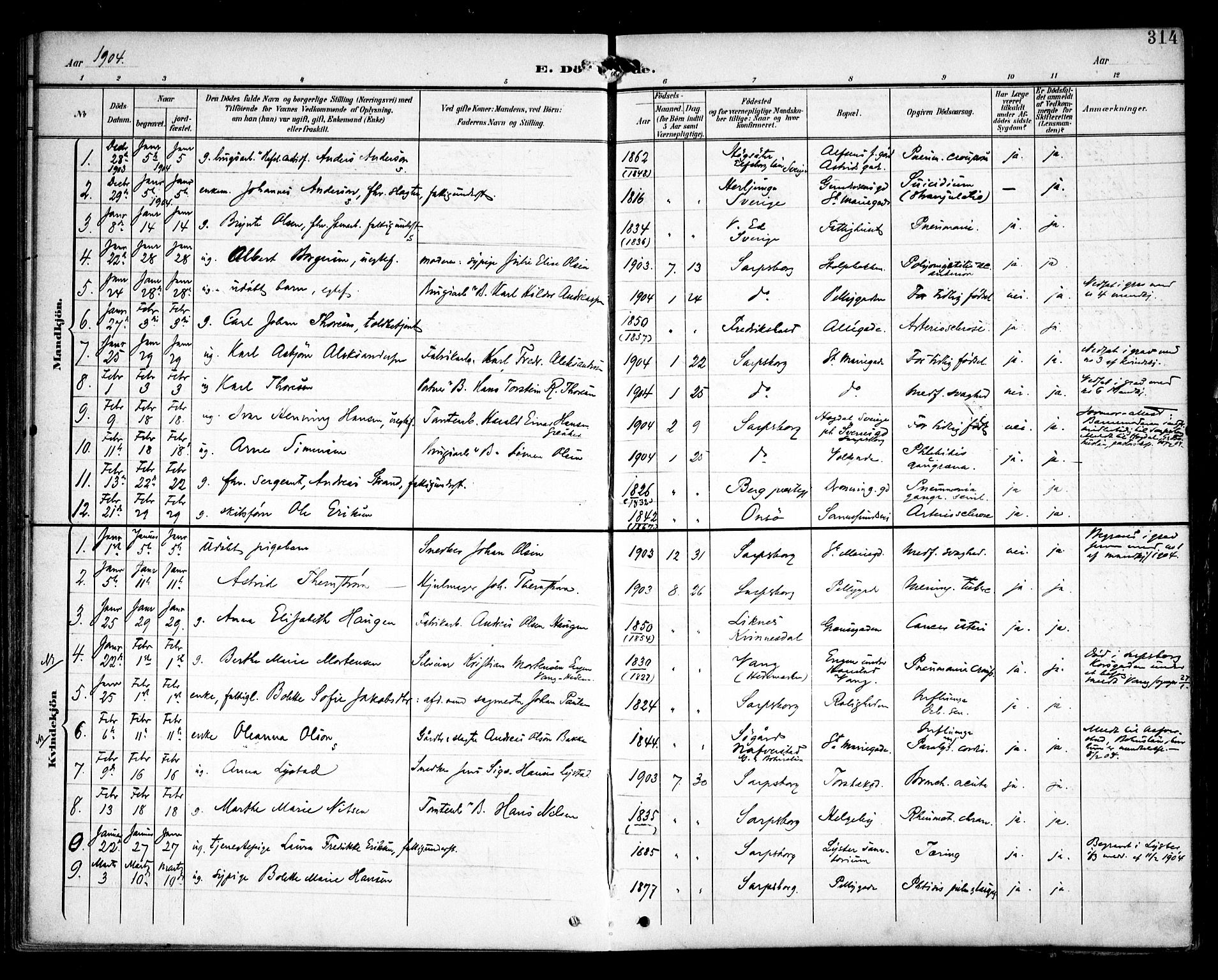 Sarpsborg prestekontor Kirkebøker, SAO/A-2006/F/Fa/L0006: Parish register (official) no. 6, 1900-1909, p. 314